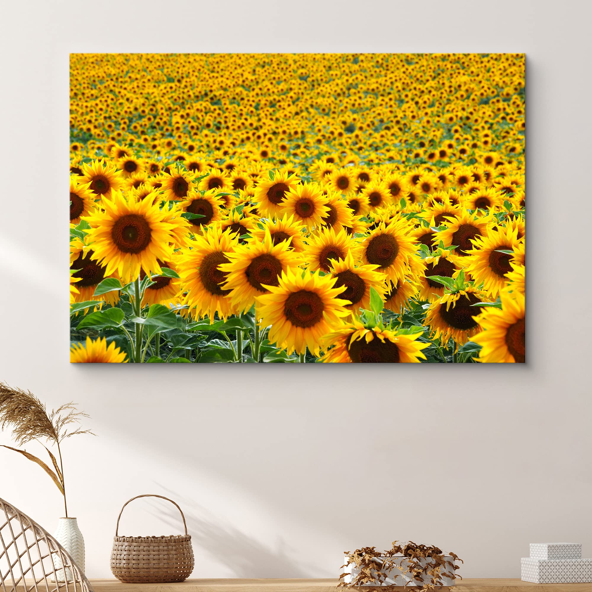Signford Canvas Print Wall Art Hundreds Of Sunflowers In Field Floral Plants Photography Realism Contemporary Scenic Colorful Mu