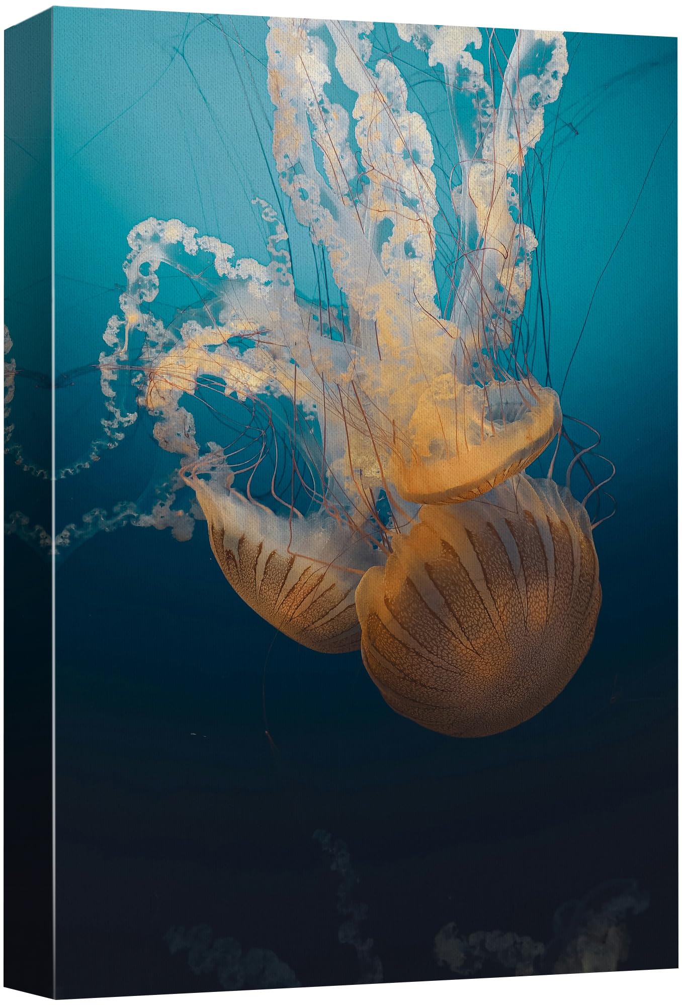 Wall26 Canvas Print Wall Art Jellyfish Floating In Deep Blue Ocean Animals Photography Realism Rustic Scenic Landscape Wildernes