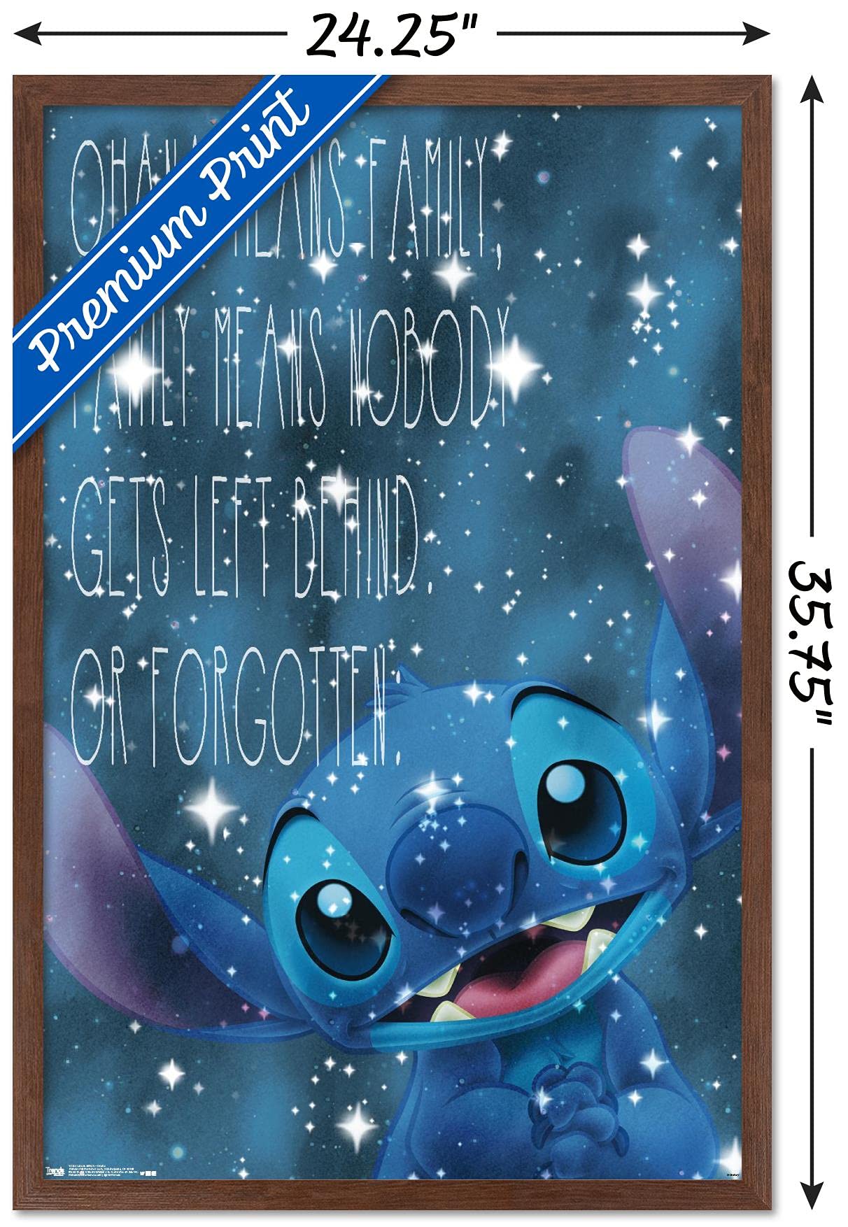 Trends International Disney Lilo And Stitch - Ohana Wall Poster, 22.375'' X 34'', Mahogany Framed Version