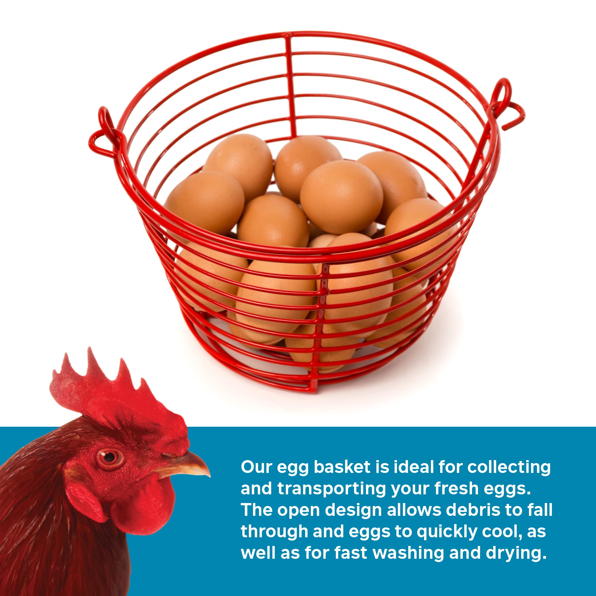 Prevue Pet Products 8 Inch Red Vinyl Coated Metal Egg Basket Sp468