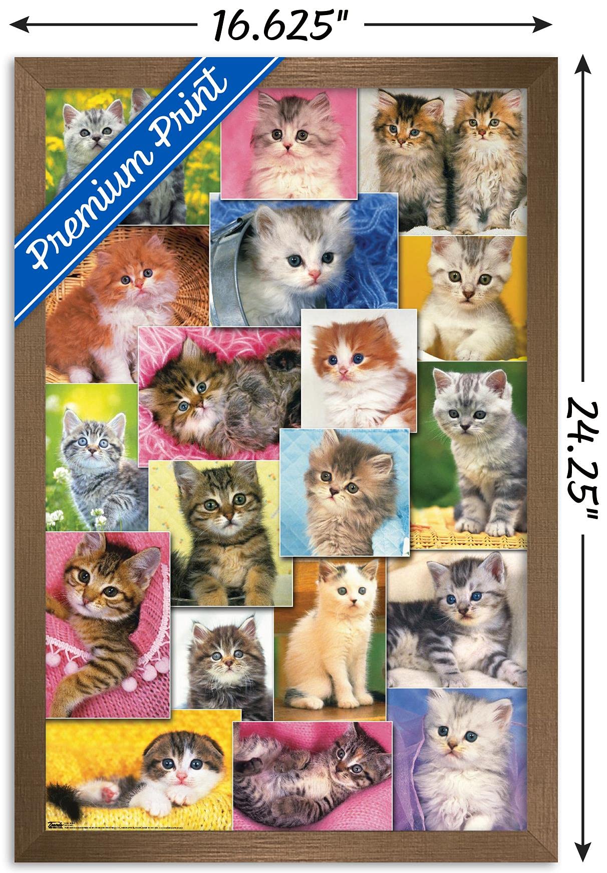 Trends International Keith Kimberlin - Kittens Collage Wall Poster, 14.725'' X 22.375'', Bronze Framed Version