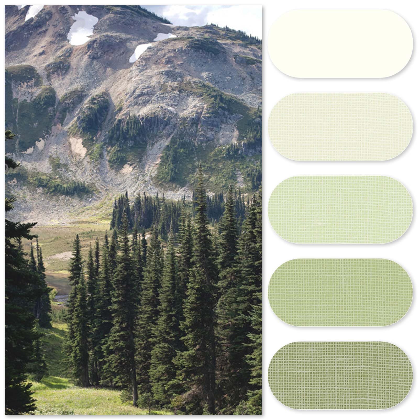 Jinchan Small Stall Shower Curtain 36X72 Inches Ombre Forest Green Striped Shower Curtains For Bathroom Gradual Color Waterproof