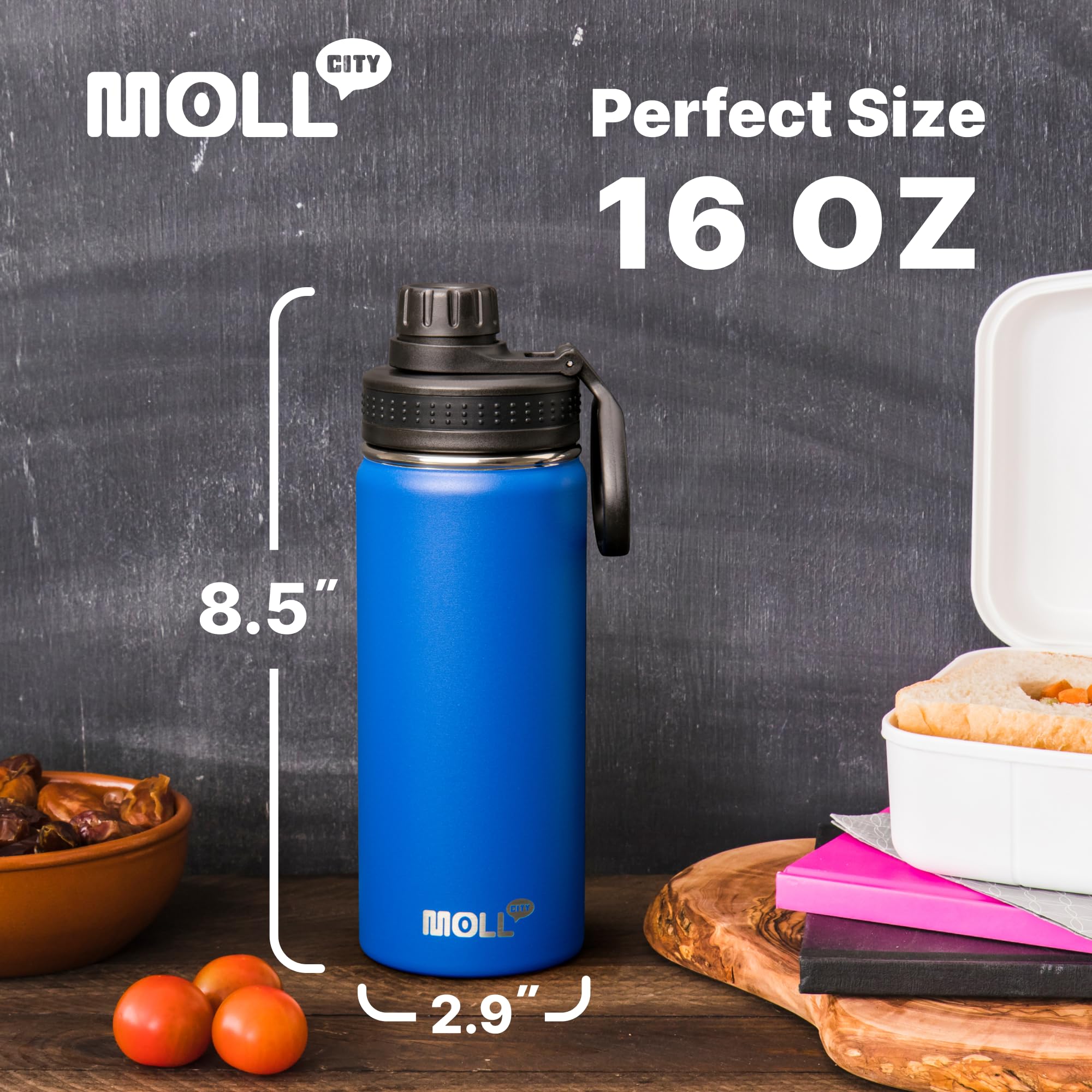 Mollcity Kids Insulated Water Bottle With Spout Lid-16 Oz Stainless Steel Vacuum Wide Mouth Sports Water Bottle For Back To Scho