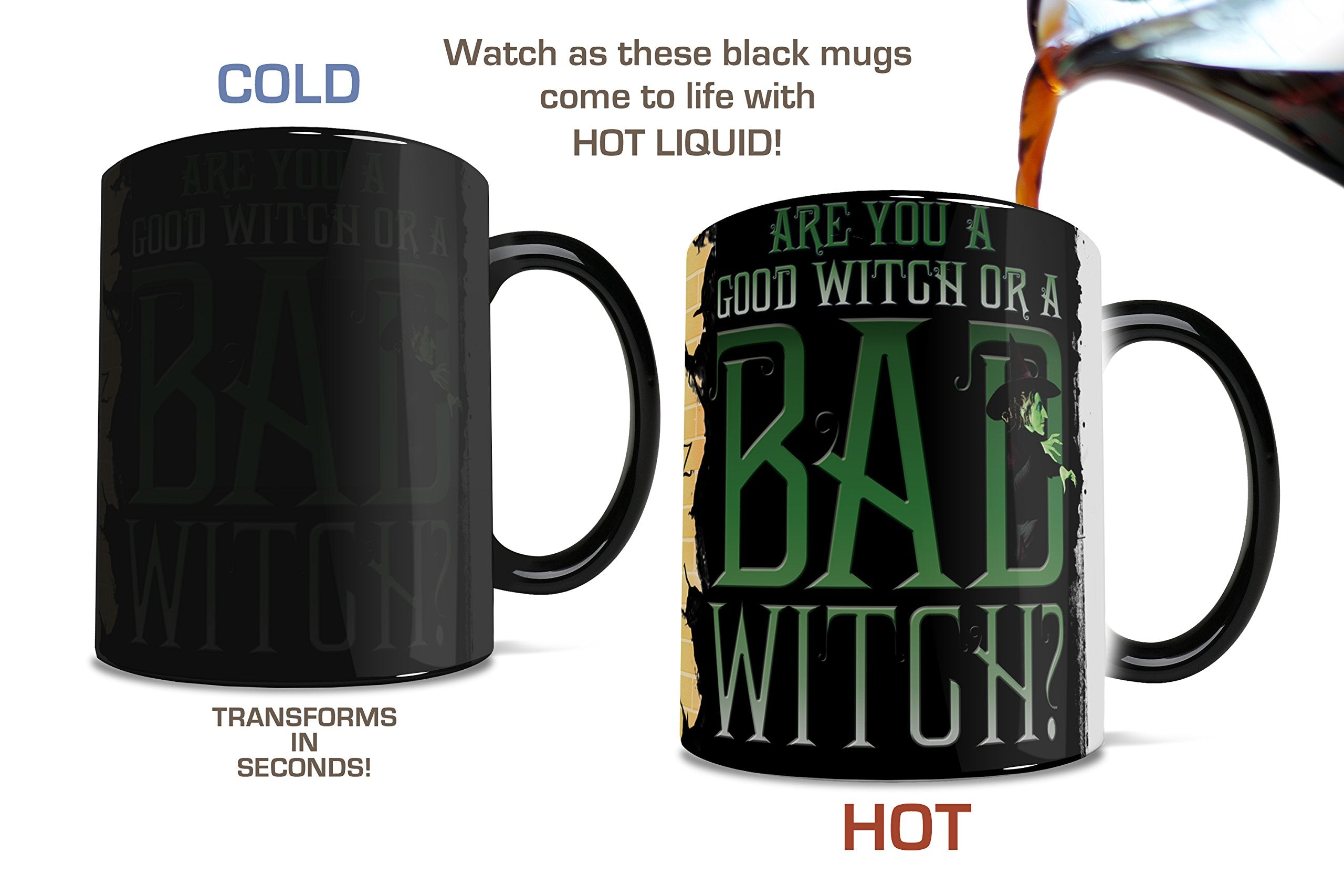 Morphing Mugs Wizard of Oz (Good Witch Bad Witch) Ceramic Mug  Black 11 fl oz
