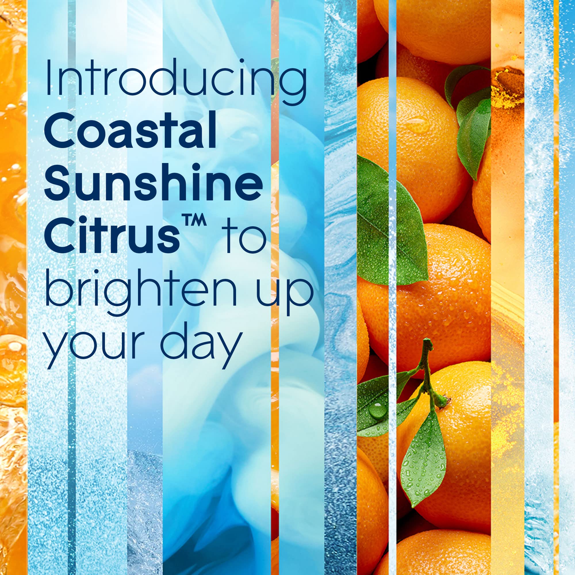 Glade Candle Jar, Air Freshener, Coastal Sunshine Citrus, 3.4 Oz