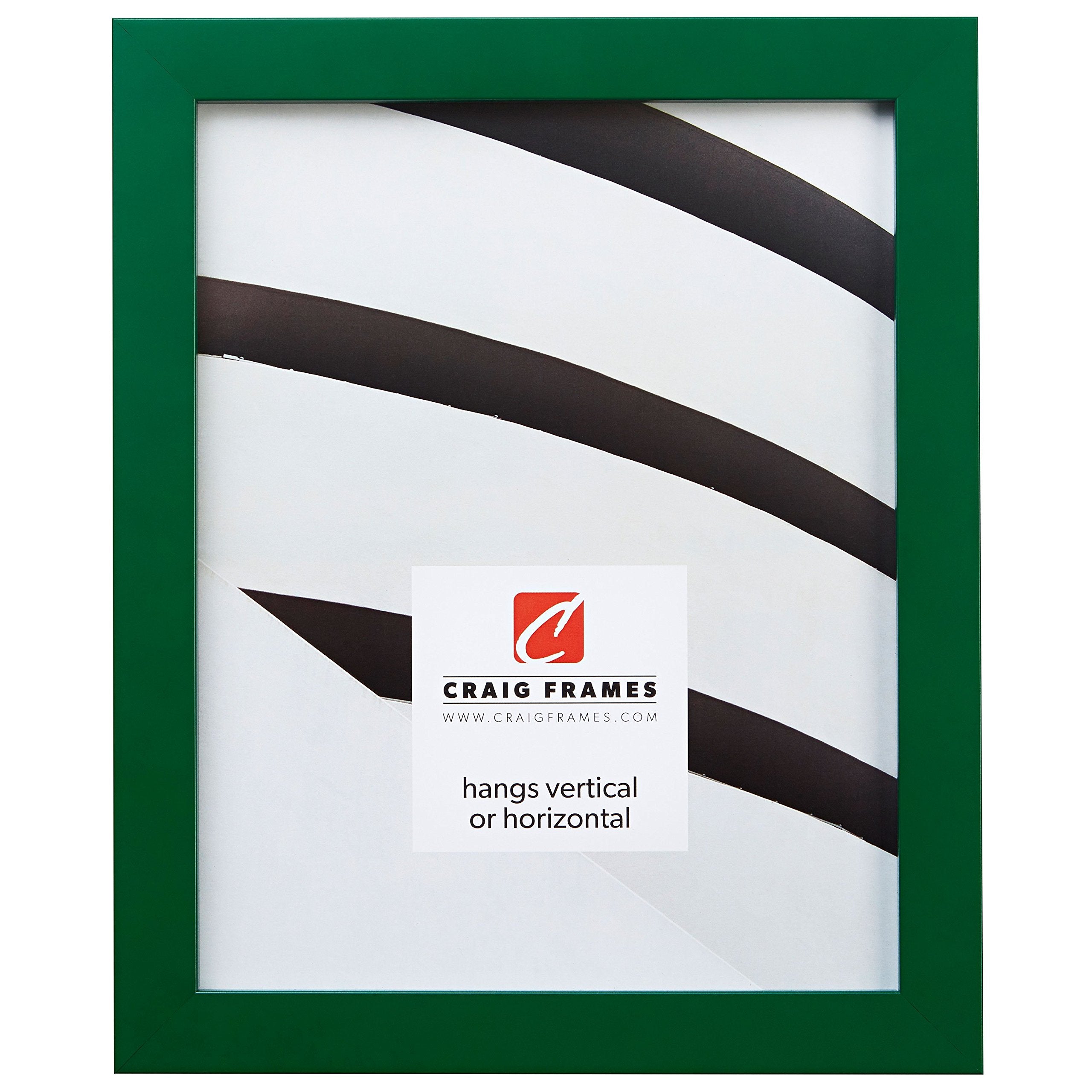 Craig Frames Confetti, Modern Green Picture Frame, 11 x 14 Inch