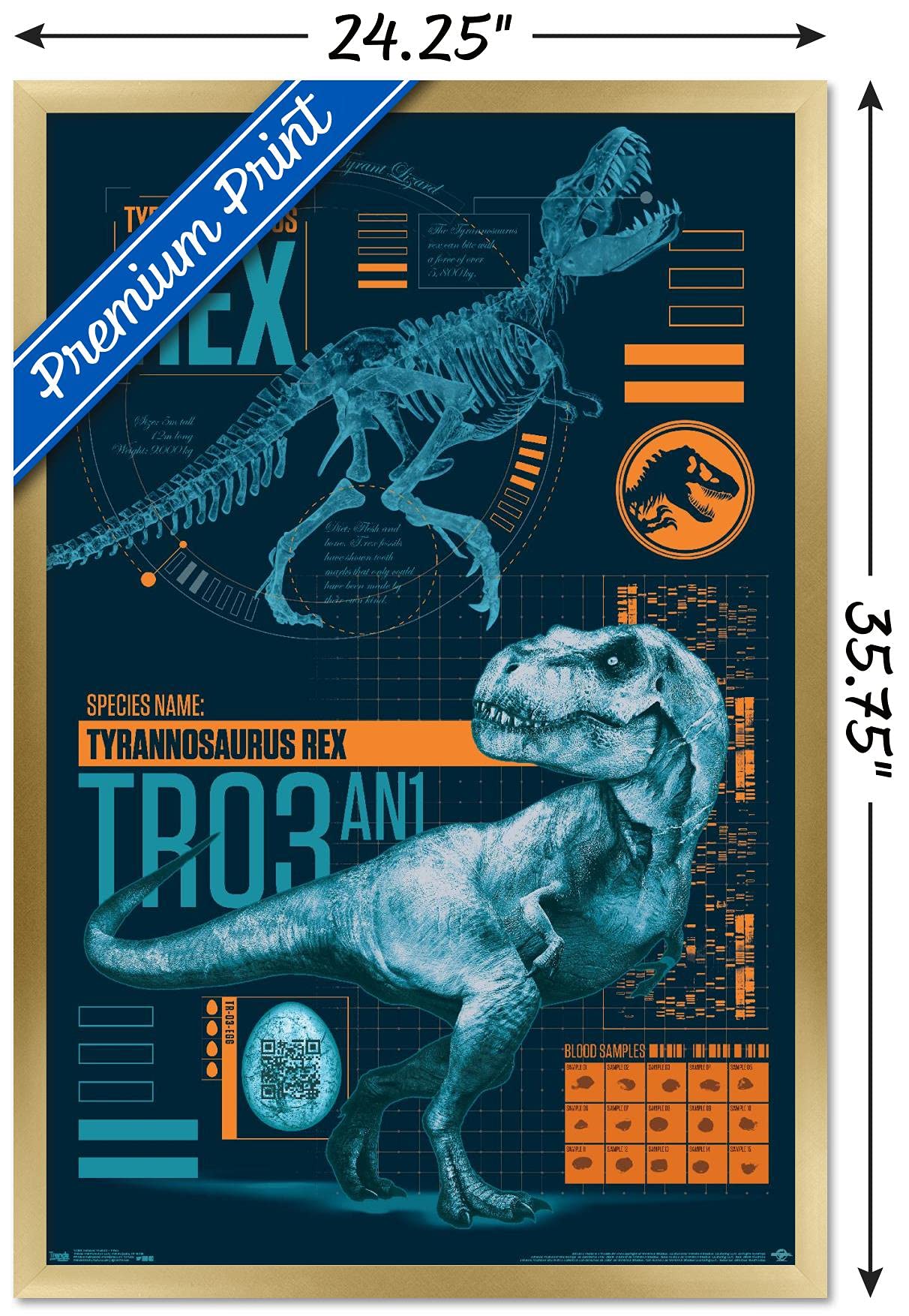 Trends International Jurassic World: Fallen Kingdom - T-Rex Wall Poster, 22.375'' X 34'', Gold Framed Version