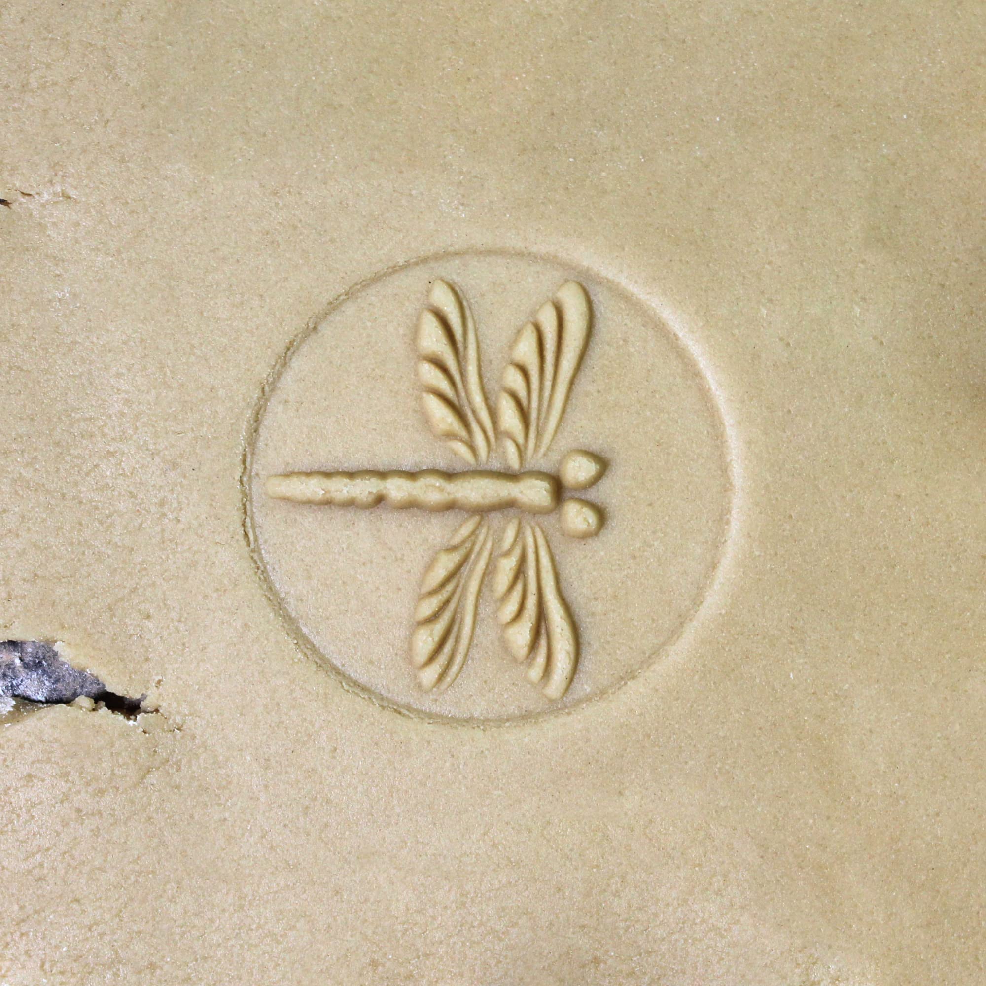 Fun Food Tools, Wood Cookie Stamp, 2.5 Inch (Dragonfly Cs-019)