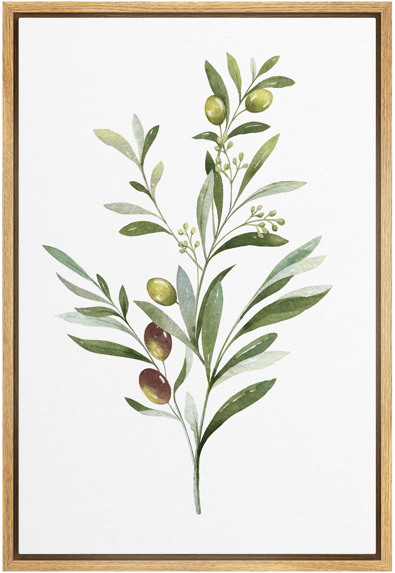 Wall26 Framed Canvas Print Wall Art Olives On Green Watercolor Branch Floral Botanical Illustrations Modern Rustic Zen Relax/Cal