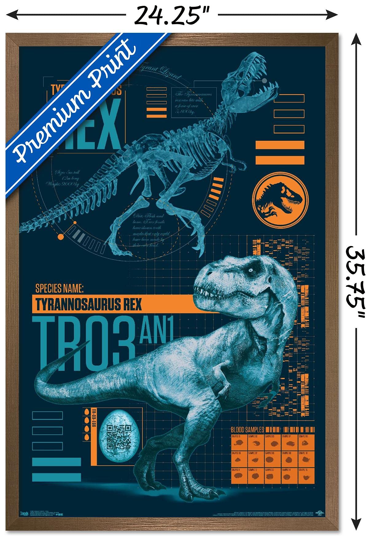 Trends International Jurassic World: Fallen Kingdom - T-Rex Wall Poster, 22.375'' X 34'', Bronze Framed Version