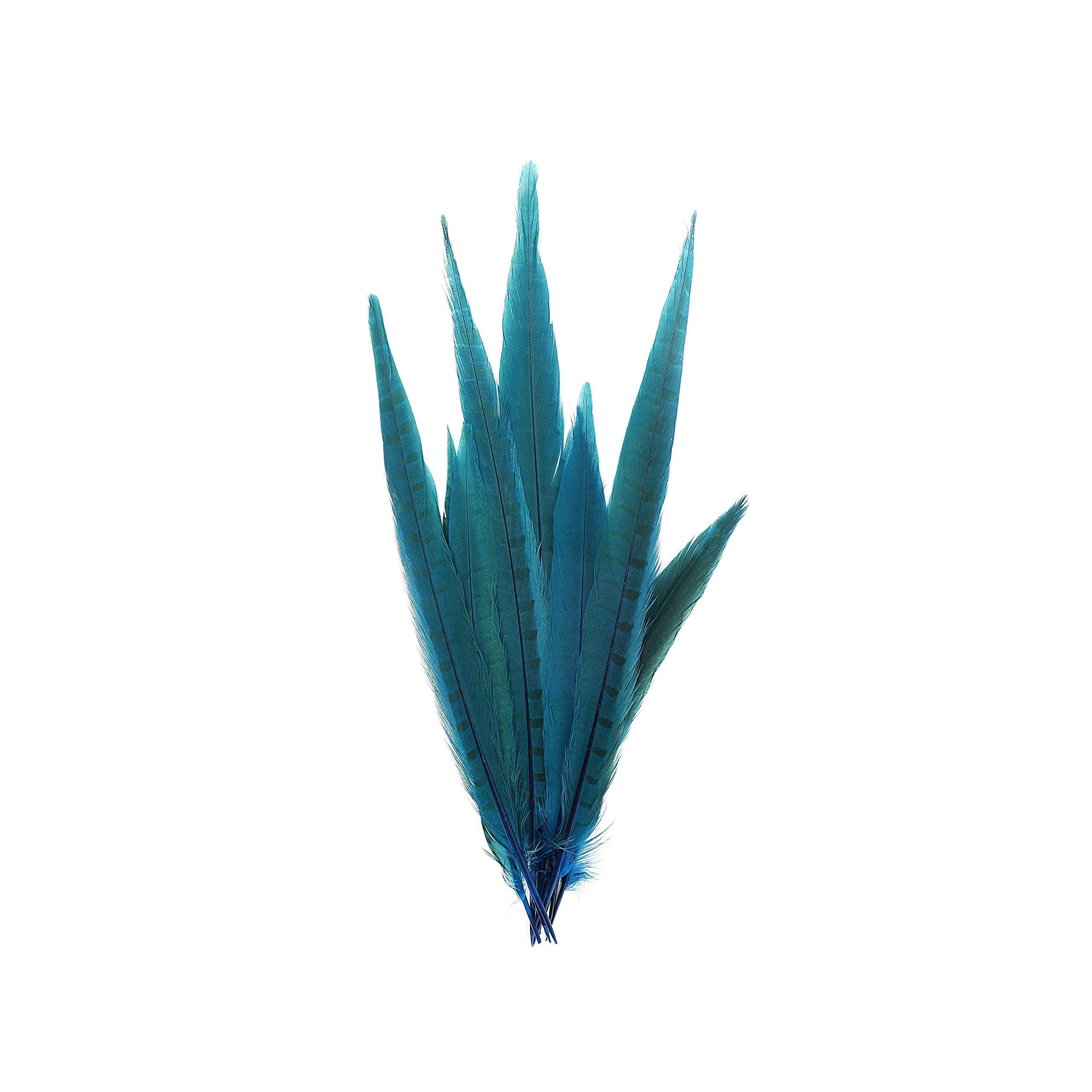 Zucker Feather (TM) - Pheasant Tails Assorted Bleached - Dark Turquoise