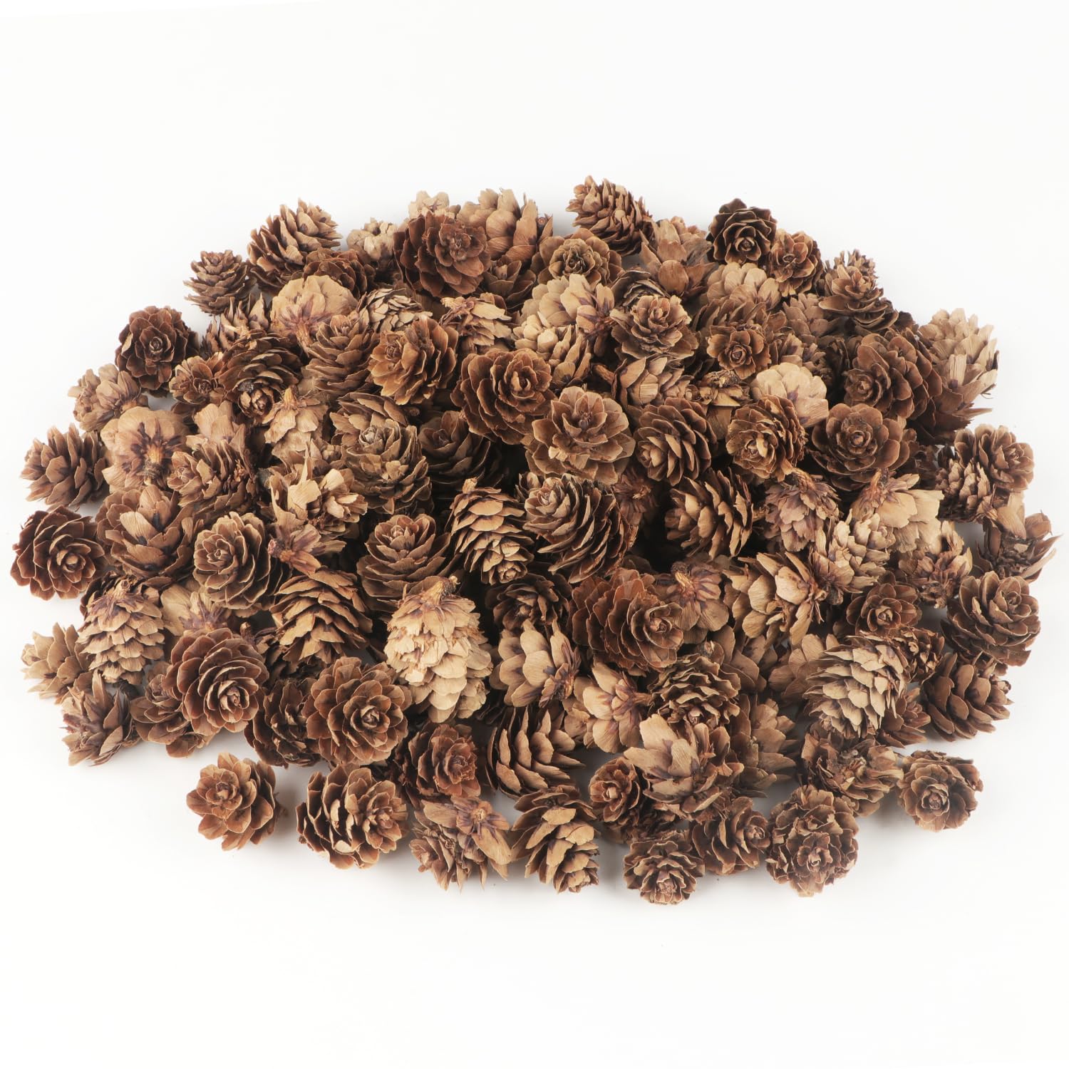 Jangostor 120 PCS Pine Cones Decorations, Natural Pine Cones Bulk - Mini Pine Cones Christmas Pine Cones for Table Christmas Tre
