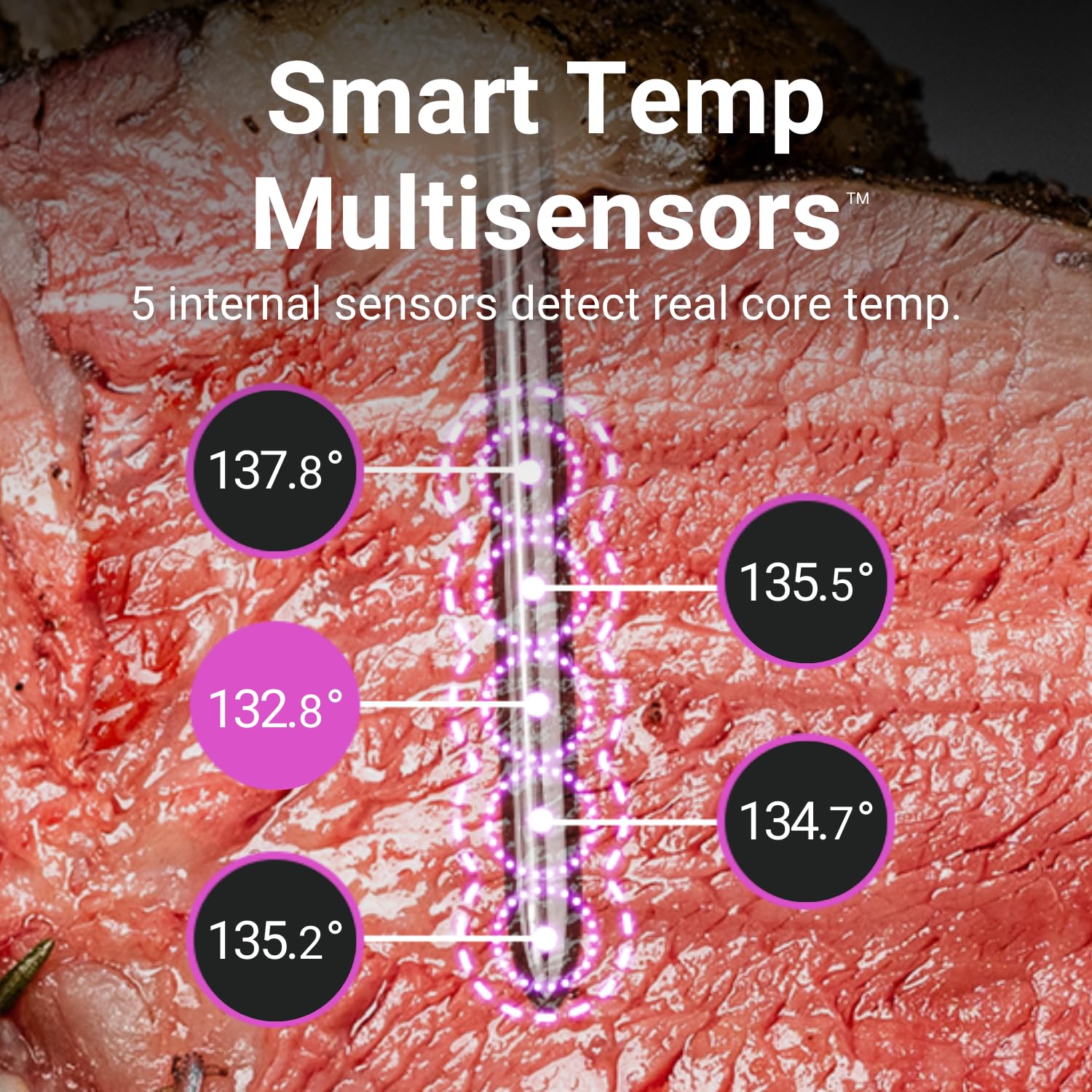 [New] Meater 2 Plus: Open Flame Grilling 1000F, Wireless Smart Meat Thermometer, Extra Long Bluetooth Range, 100% Waterproof, Mu