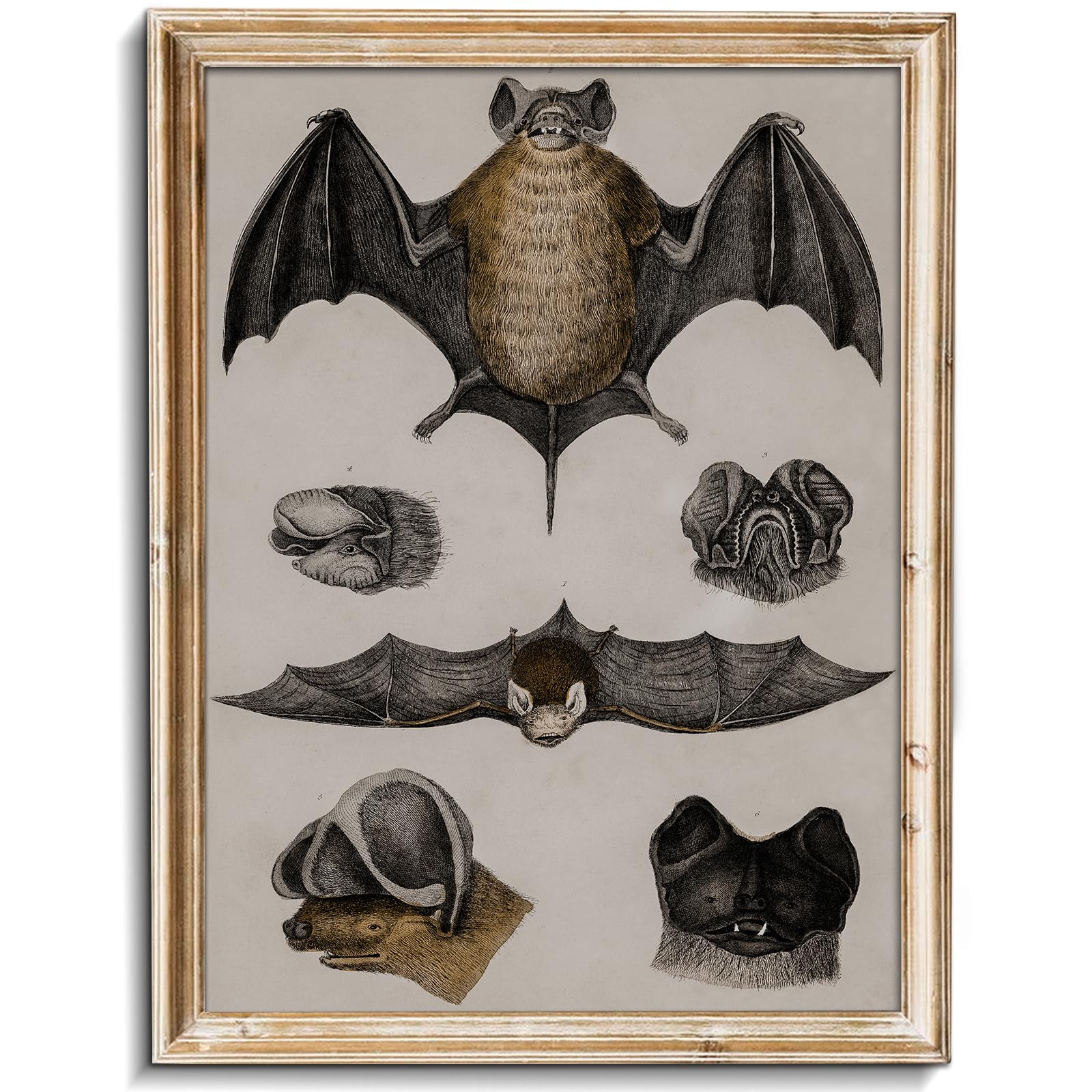 uniro Retro Bats Wall Decor Bats Wall Art Canvas Print,Vintage Hipster Gothic Wall Decor - Gift for Gothic, Horror, Vampire Fans