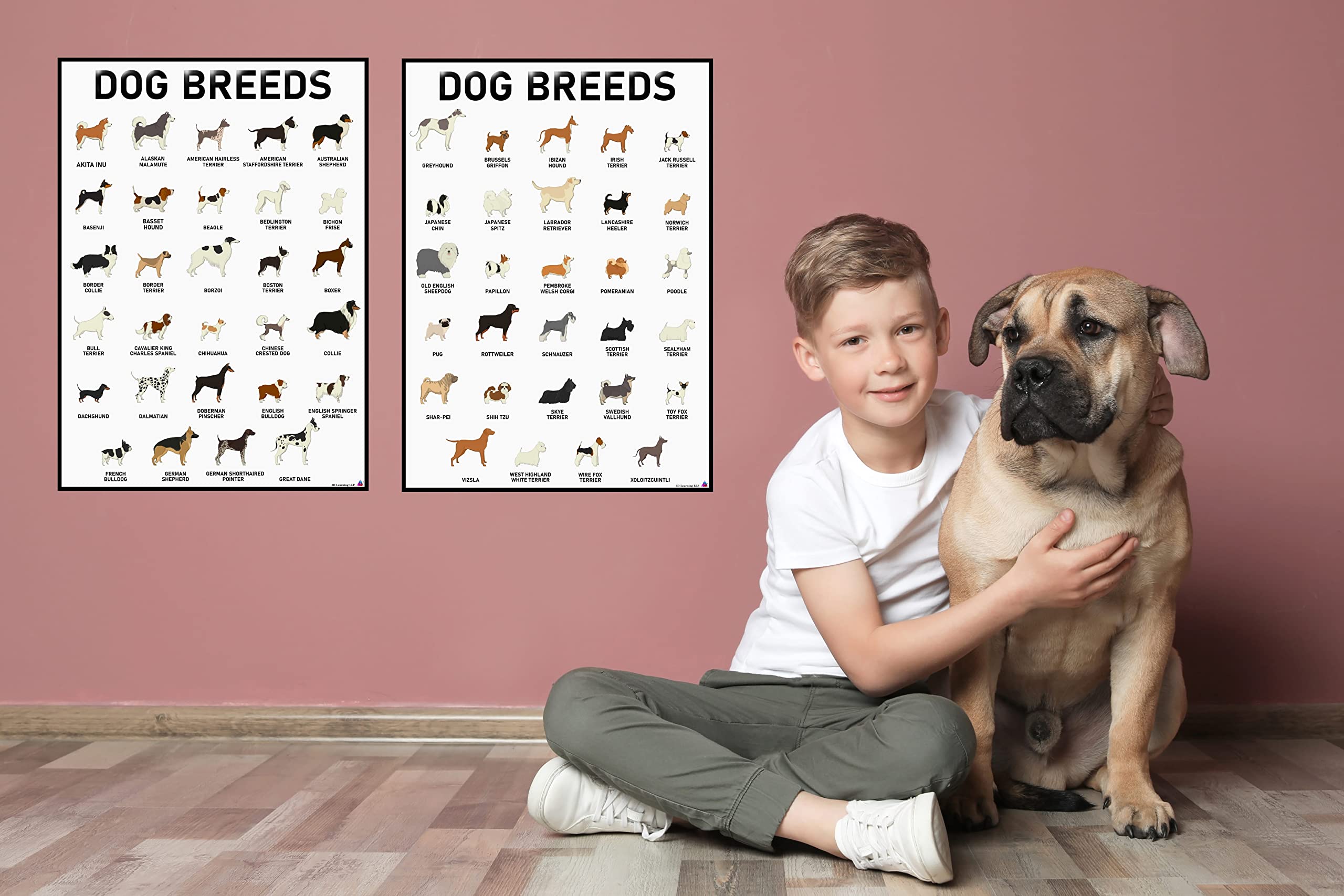 3D Learning Llf Dog Breeds Posters Set 58 Breeds For Lovers, Professionals Wall Art & Decor For Bedrooms, Clinic, Classroom