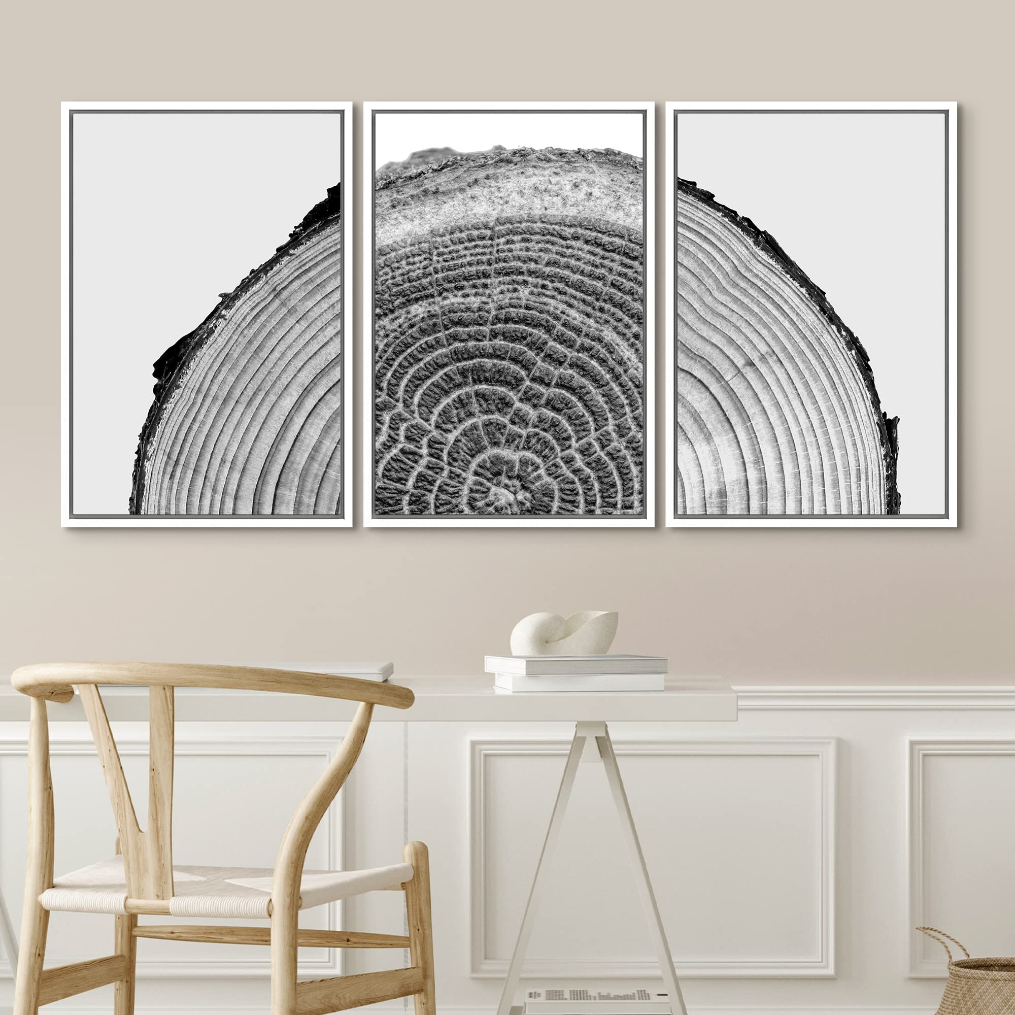 Nwt Framed Canvas Print Wall Art Set Black White High Contrast Wood Tree Rings Nature Wilderness Photography Modern Art Rustic S