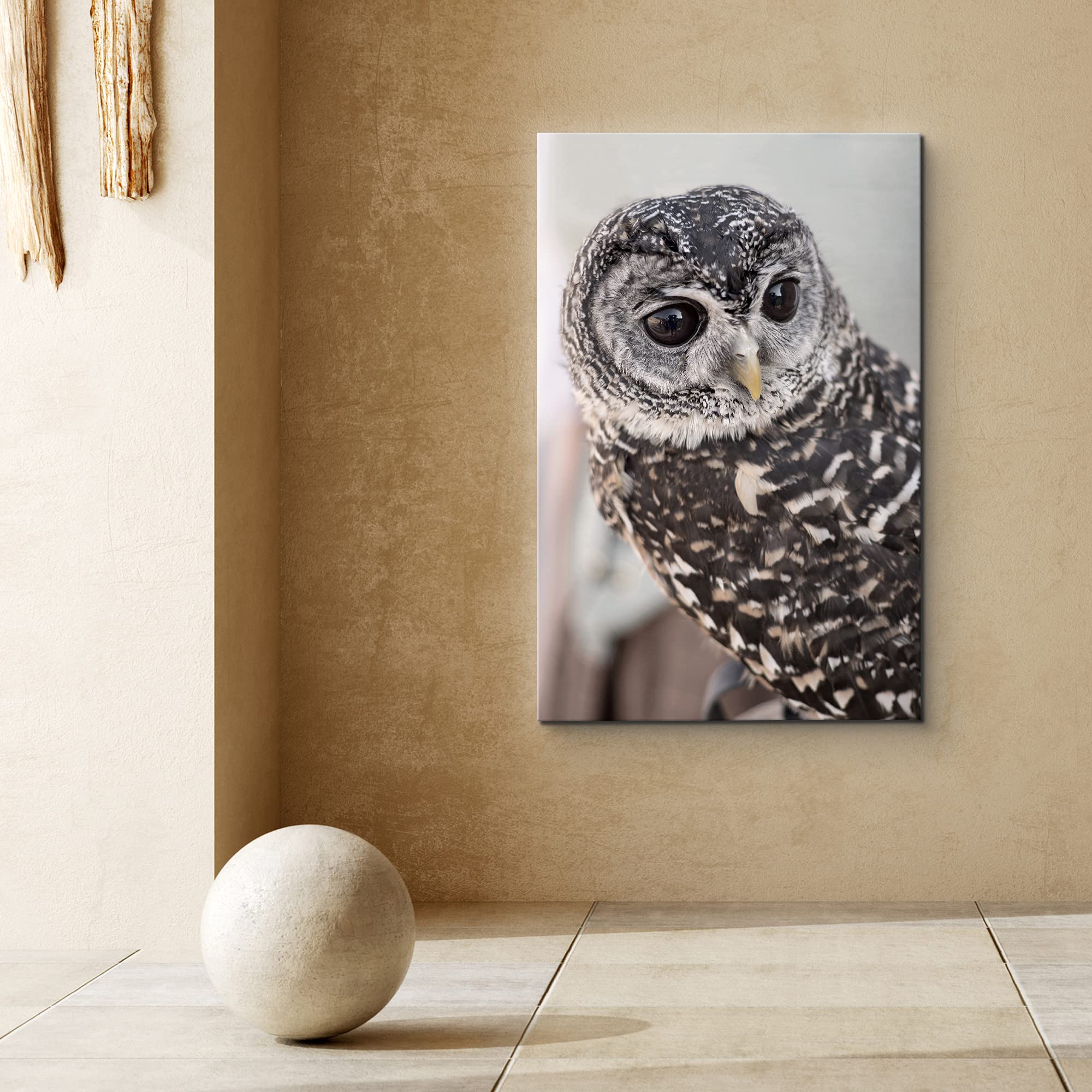 Signford Canvas Print Wall Art Gray Owl With Bokeh Camera Effect Animals Wildlife Photography Realism Rustic Portrait Relax/Calm