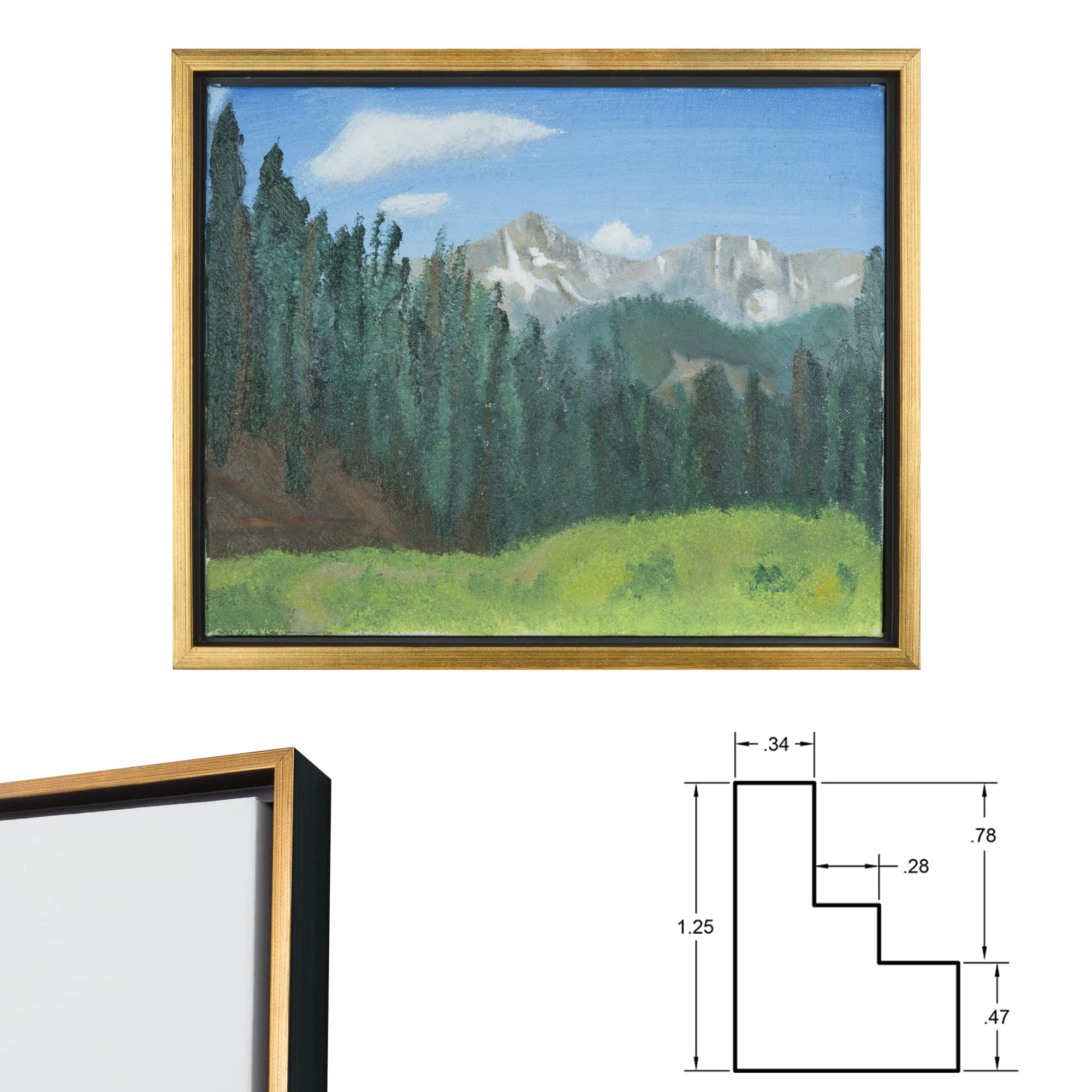 Jerry's 3/4 Core Floater 3 Pack Frames for Canvas Artwork Display [12x16 - Black/Antique Gold]- Perfect for Home Wall Decor  Bedroom Wall Art  Living Room Decor - Wall Art Frame with Floating Effect