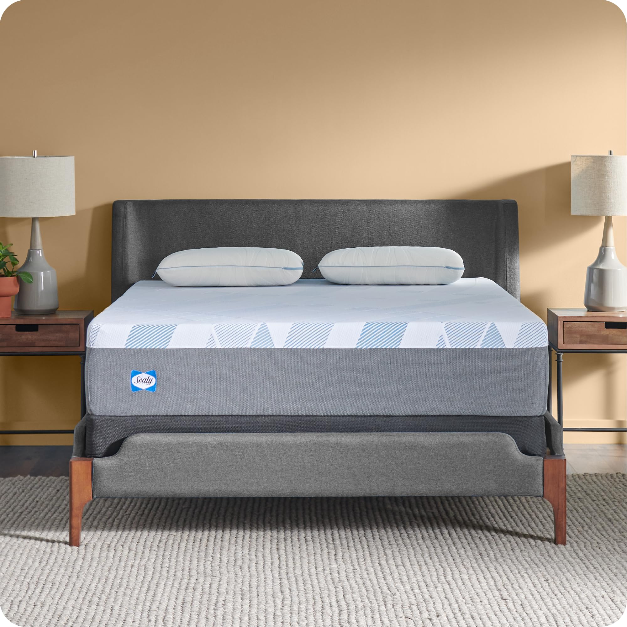 Sealy Dreamlife 12    Foam Mattress-In-A-Box, Twin, Sealycomfort Gel Memory Foam, Sealysupport Transition Foam, Surface-Guard Te