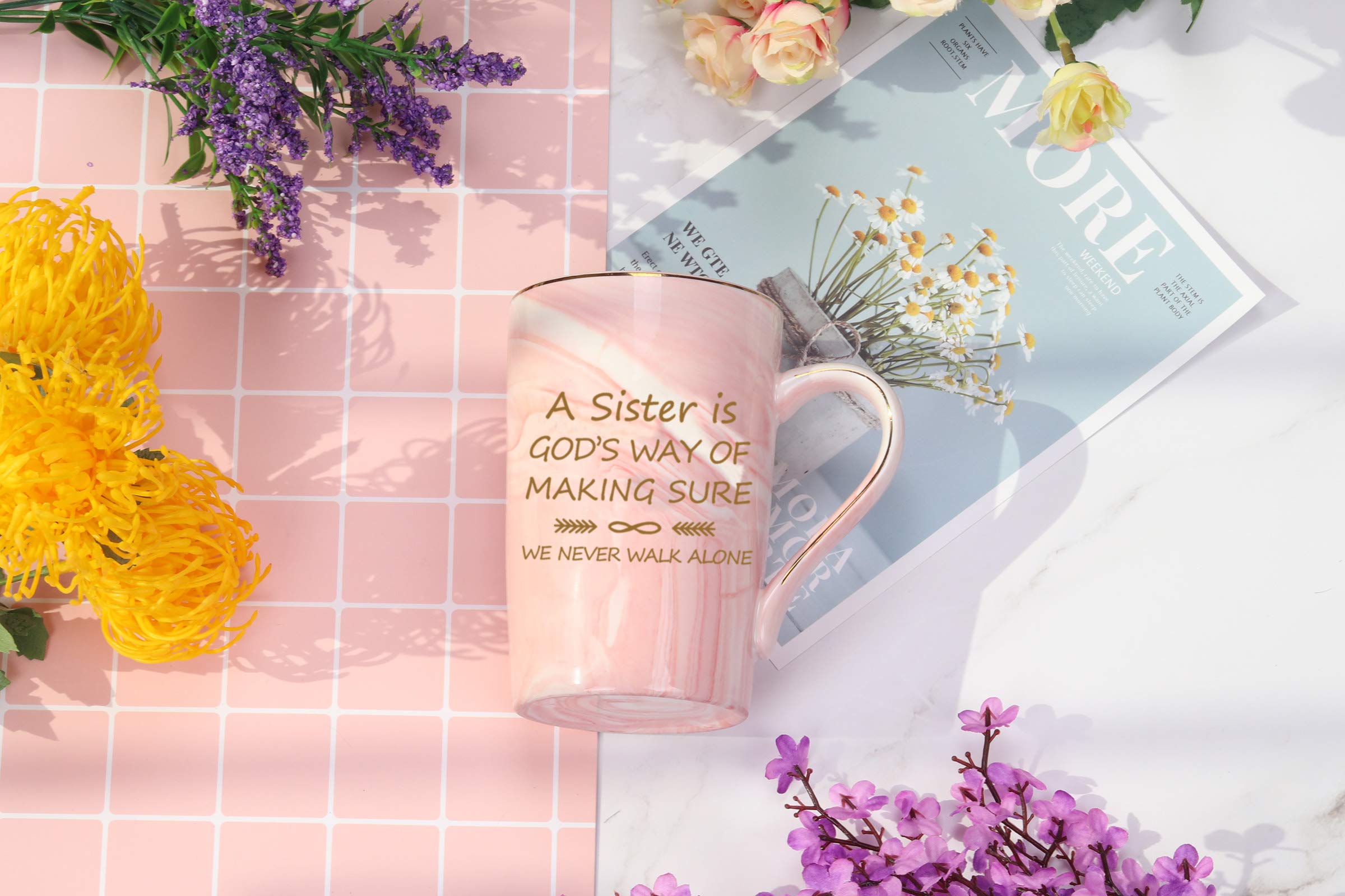 Pink Coffee Mug with Box Spoon Coaster A Sister Is Gods Way of Making Sure We Never Walk Alone Coffee Cup Birthday Gifts for Sister In Law from Sister Brother Sister Sis 14 Ounce