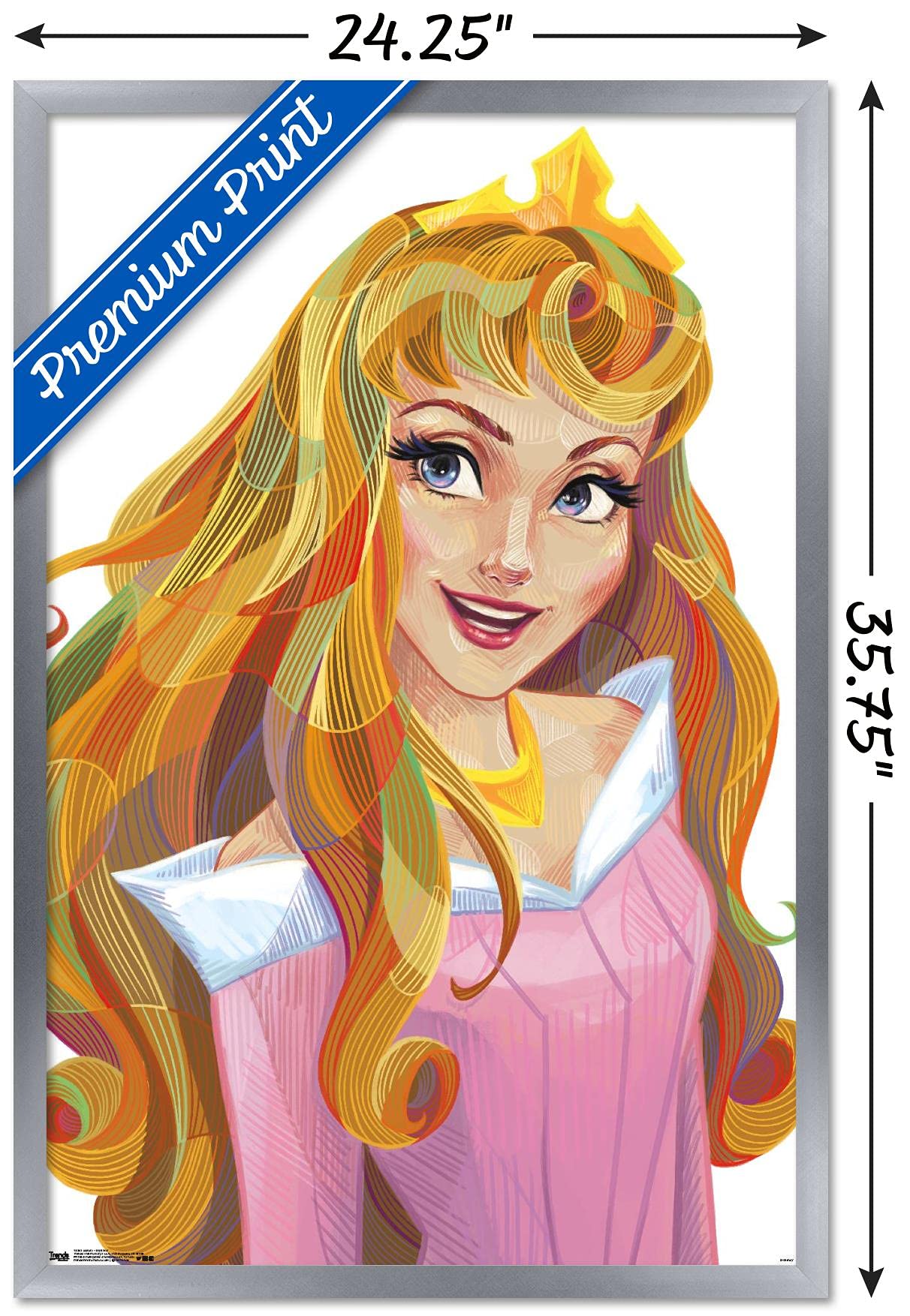 Trends International Disney Sleeping Beauty - Aurora - Stylized Wall Poster, 22.375'' X 34'', Silver Framed Version