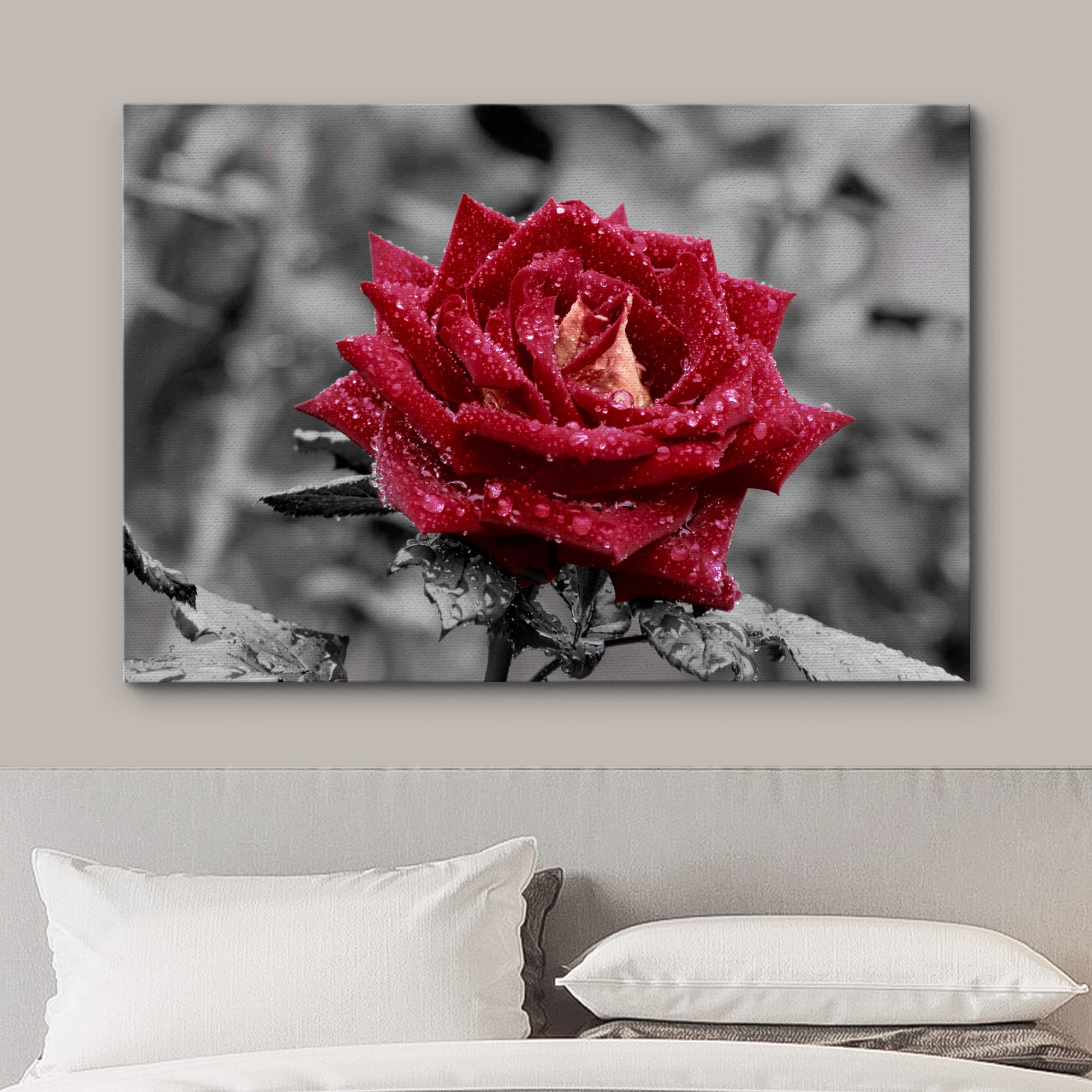 Wall26 Canvas Print Wall Art Red Rose Close Up With Water Droplets Floral Botanical Photography Modern Art Rustic Scenic Relax/C