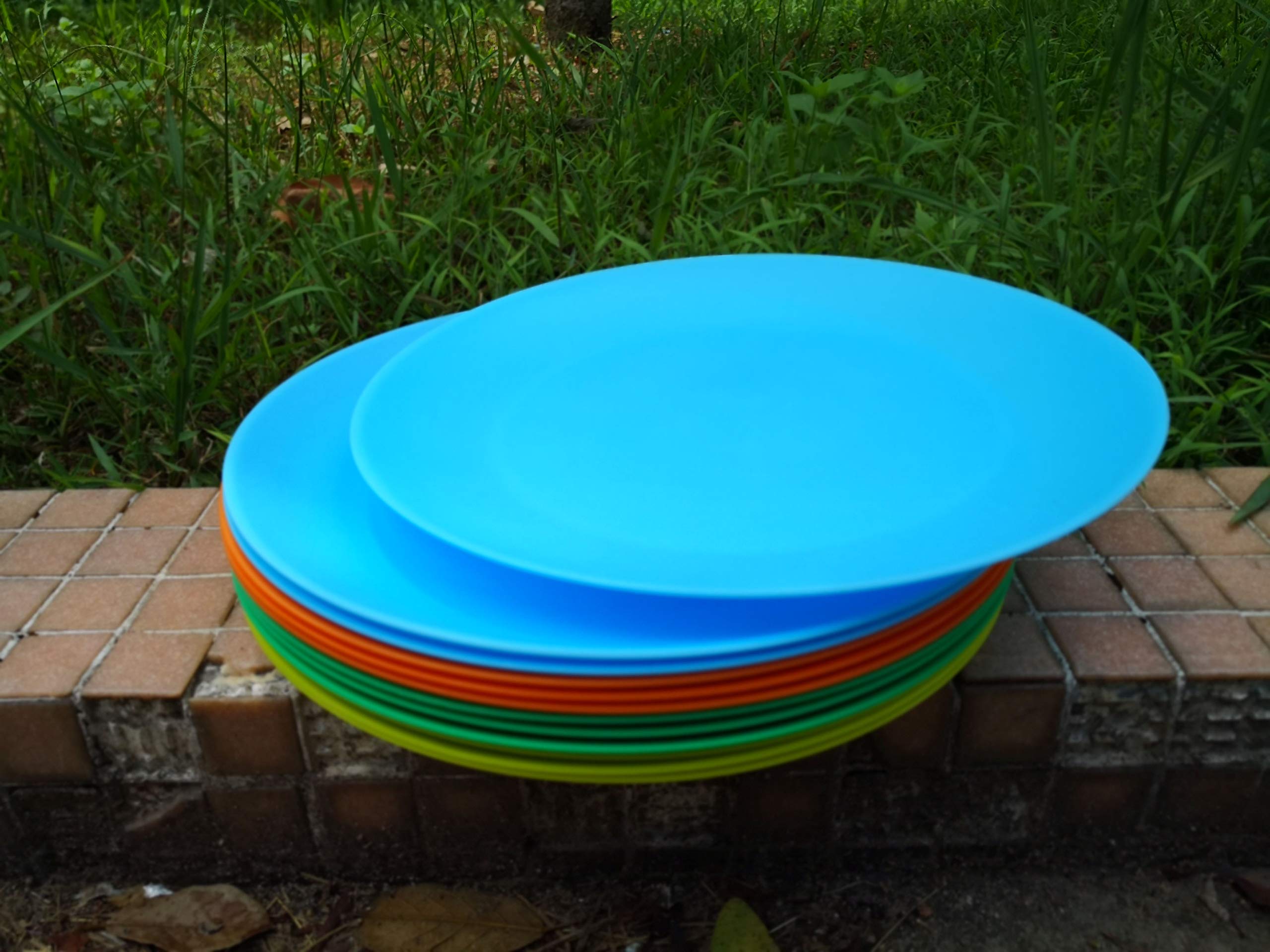 Aoyite Plastic Dinner Plates Reusable Bpa Free Dishwasher Safe Microwaveable For Any Occasion, Bbq, Travel, And Events (Multicol