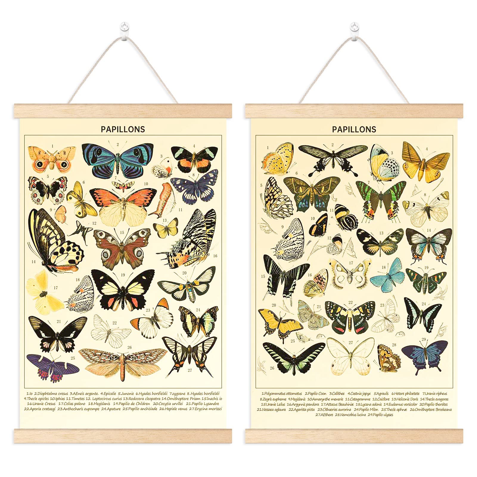 Chenkaiyang 2 Pcs Vintage Butterfly Hanging Poster,Butterfly Wall Hanging Rustic Retro Wall Art Prints Butterfly Chart Poster Fo