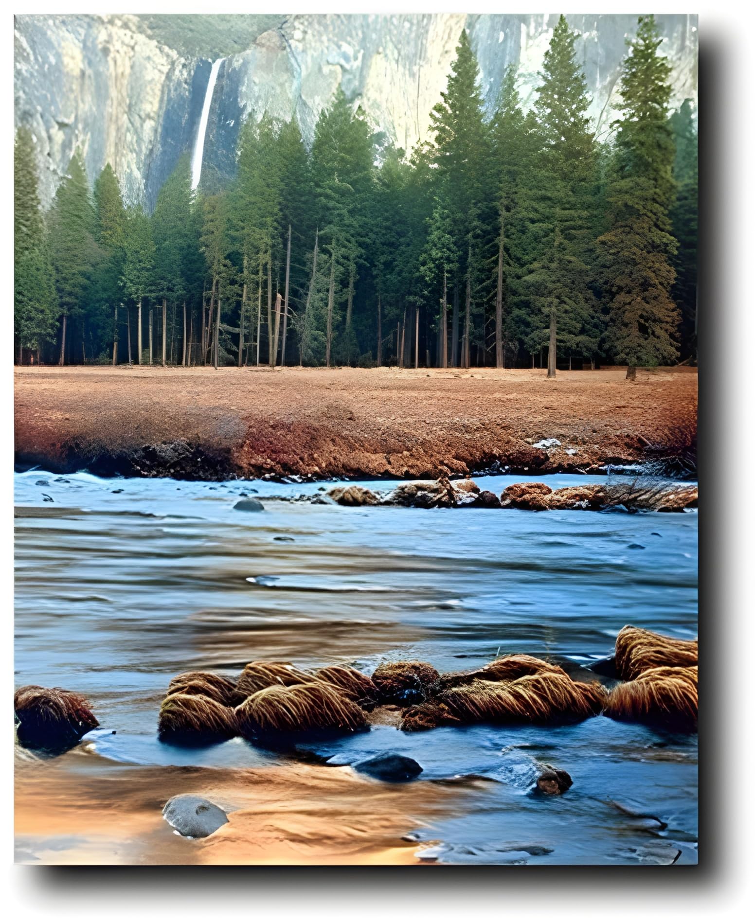 Yosemite Falls & River Trees National Park Landscape Scenery Wall Decor Art Print Poster (16X20)