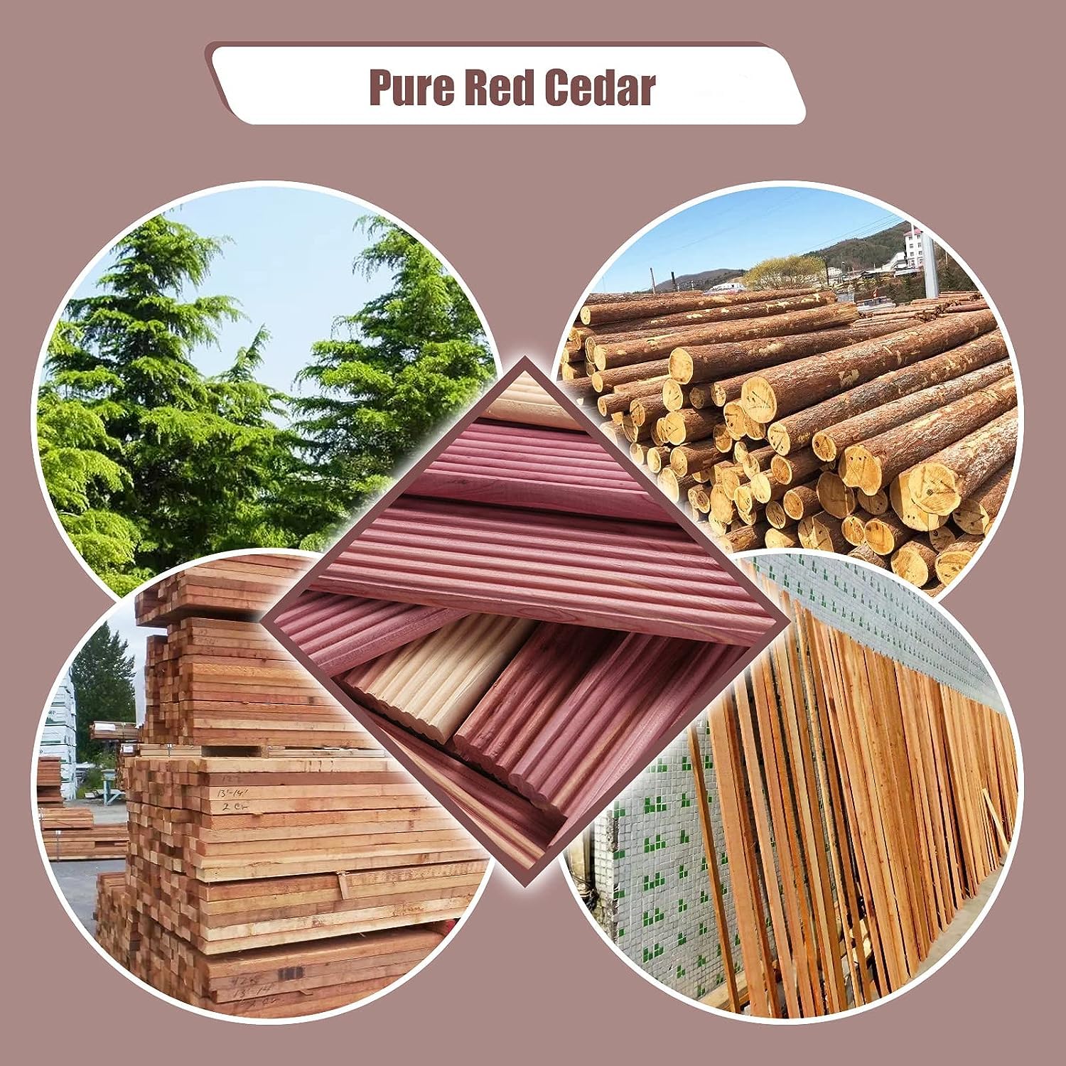 Vazpalas 12 Pack Cedar Blocks For Clothes Storage, Cedar Hanger Ups For Closet, 100% Natural Cedar Hang Ups, Red Cedar For Close