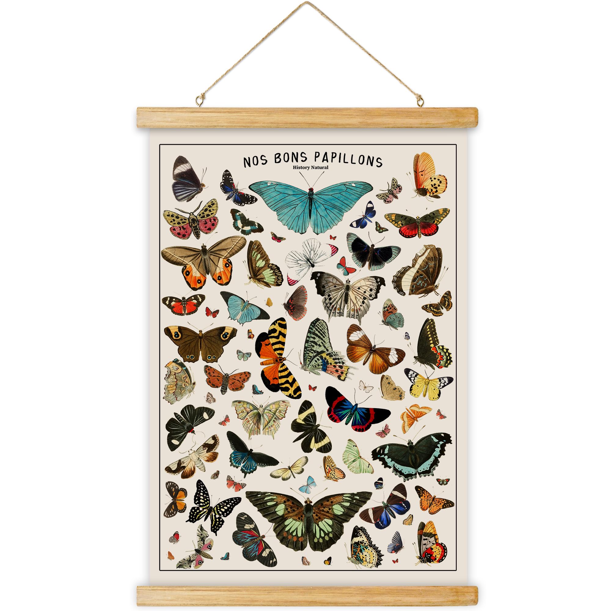 Ovfovy Vintage Butterfly Poster Hanger Frame, Aesthetic Wall Art Prints, Printed On Linen With Wooden Frame, Retro Texture Room