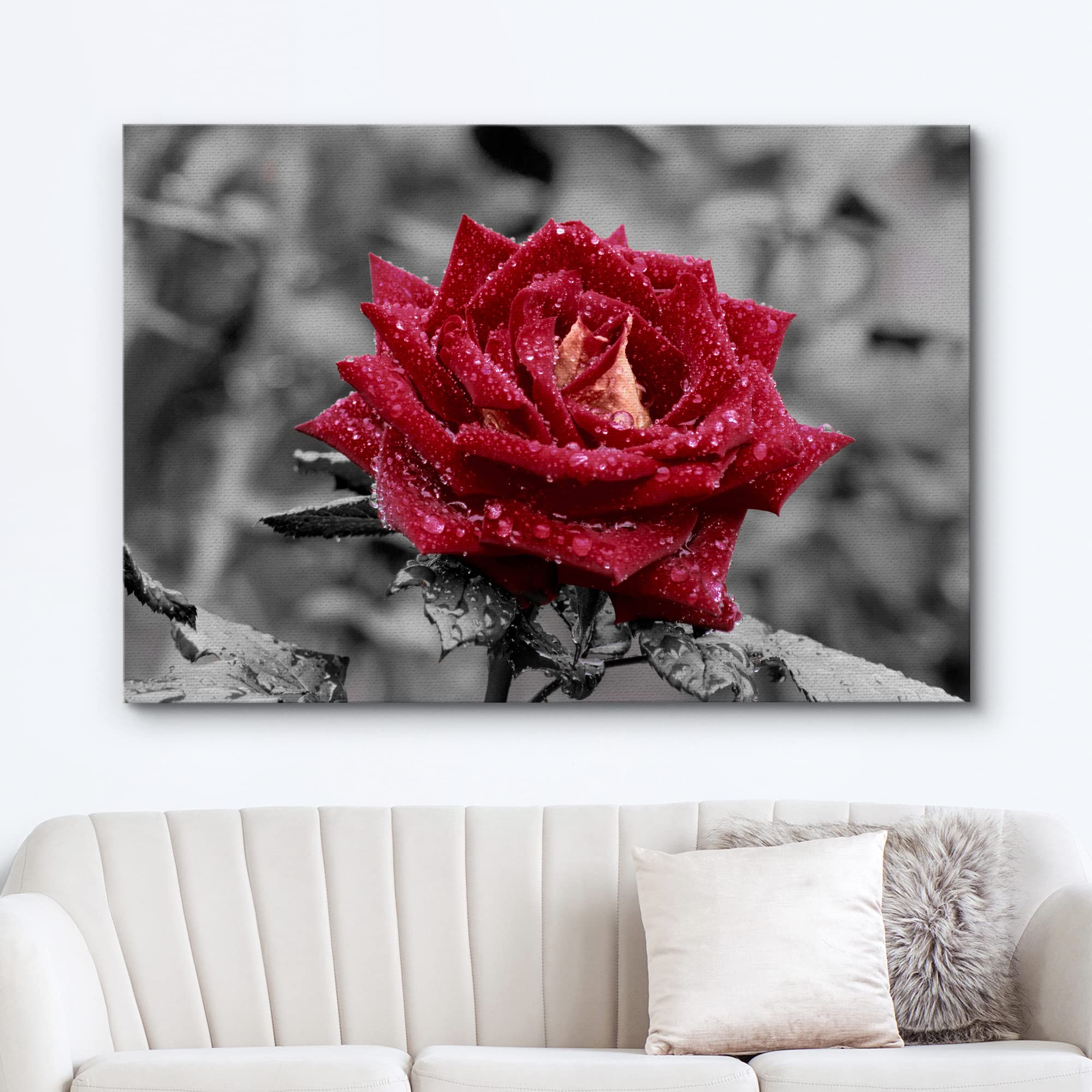 Wall26 Canvas Print Wall Art Red Rose Close Up With Water Droplets Floral Botanical Photography Modern Art Rustic Scenic Relax/C