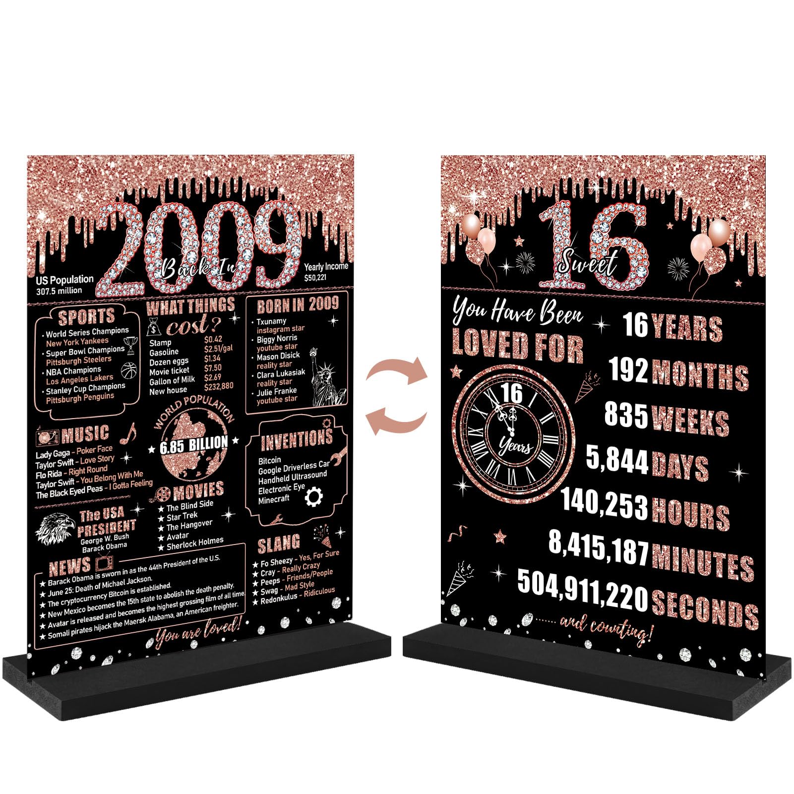 Zirtorei 16th Birthday Decorations Back in 2009 Table Sign for Girls, Rose Gold Two-Sides Sweet 16 Wooden Poster with Stand Part
