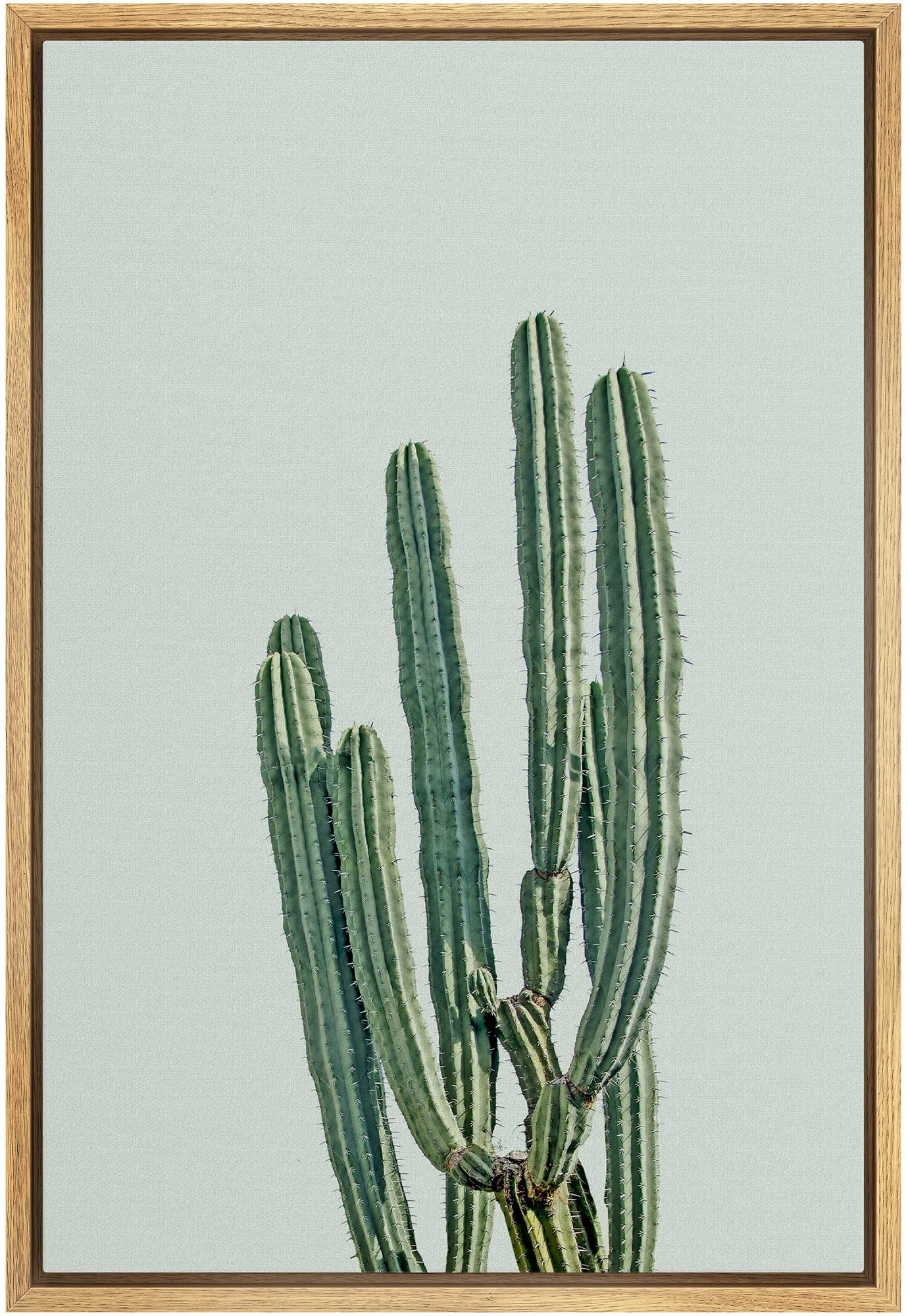 Wall26 Framed Canvas Print Wall Art Southwestern Green Desert Cactus Floral Plants Photography Realism Rustic Closeup Colorful M