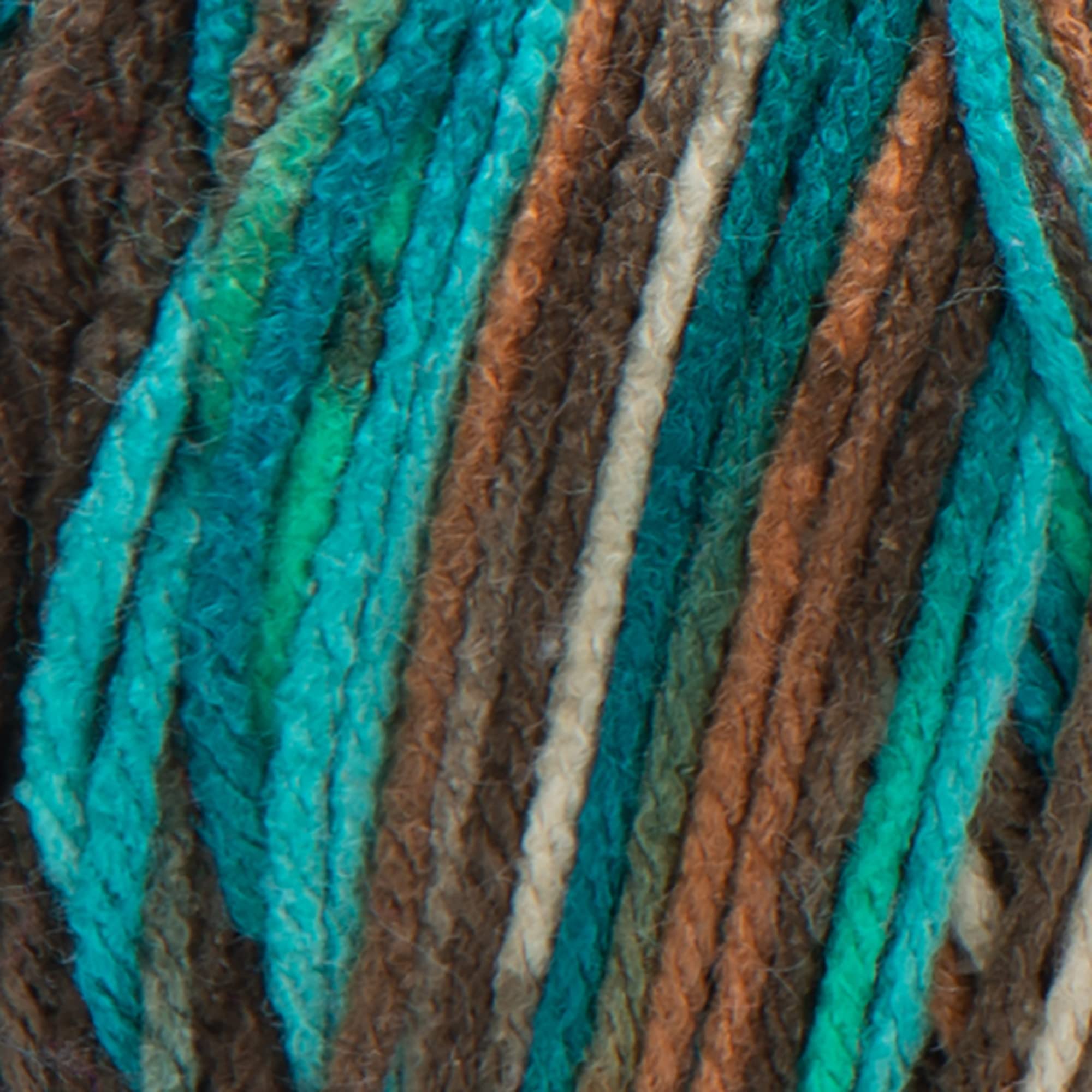 Red Heart Super Saver Reef