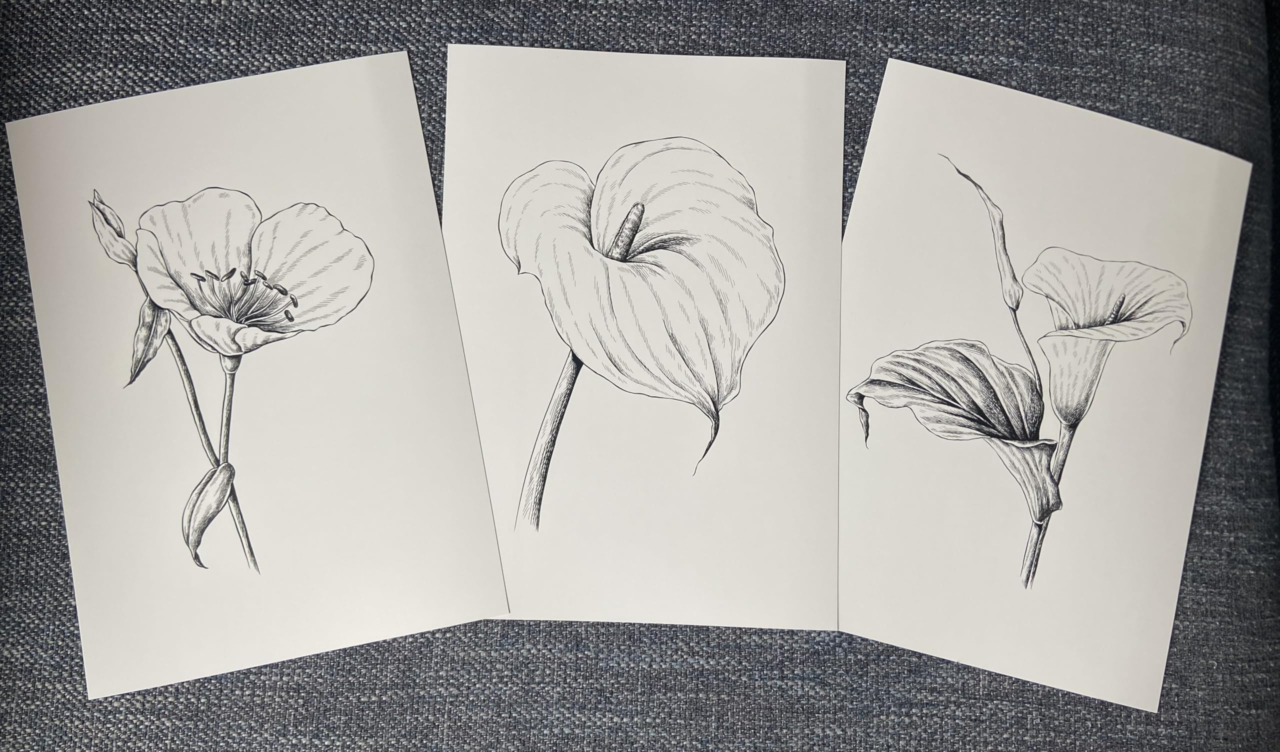 Wild Lily Flowers Set Of 3 Unframed Wall Art Prints, Abstract Tropical Plant Decor, Living Room Bedroom Bathroom Poster Home Dec