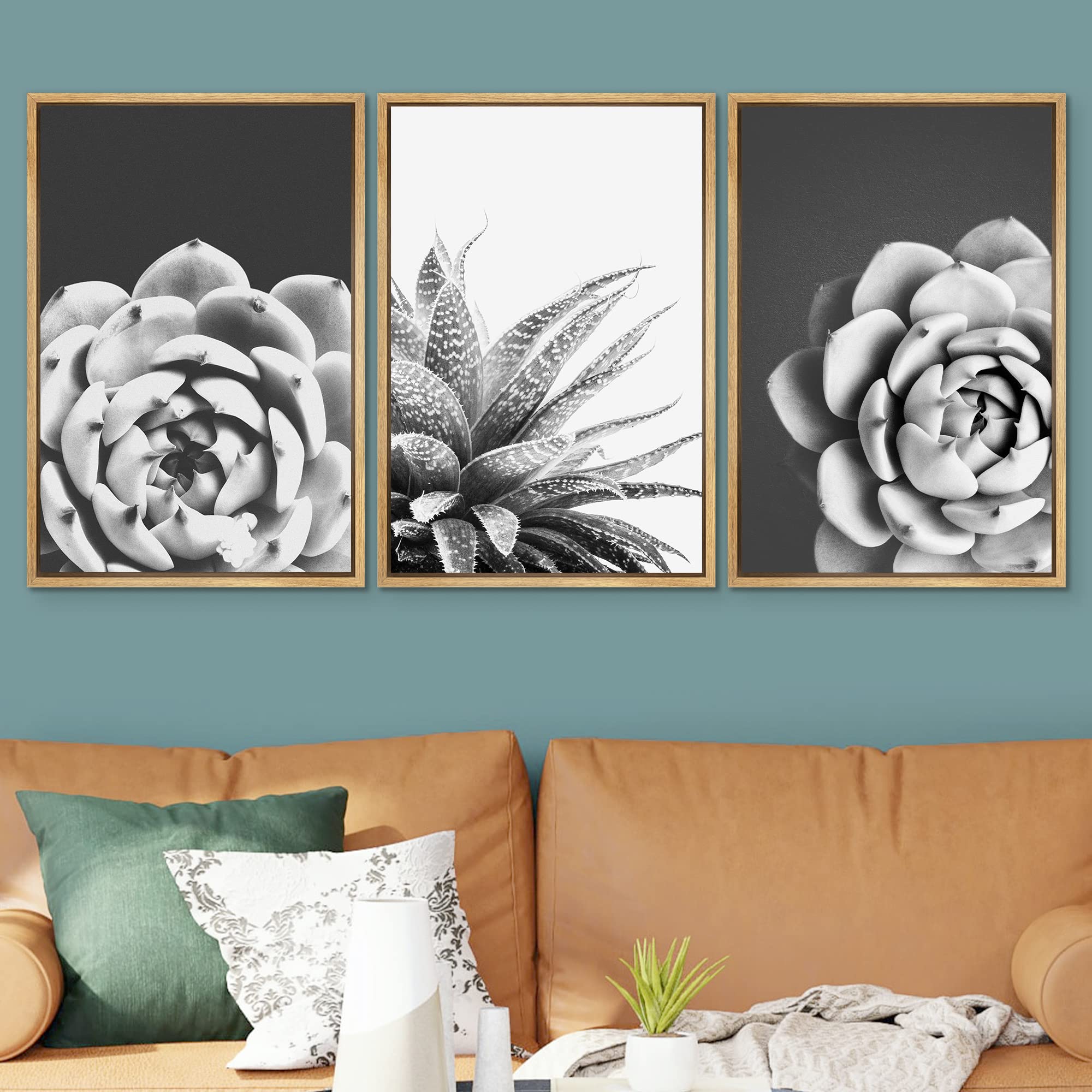 Signwin Framed Wall Art Print Set Echeveria & Haworthia Succulent Set Nature Plants Photography Modern Art Closeup Zen Black And