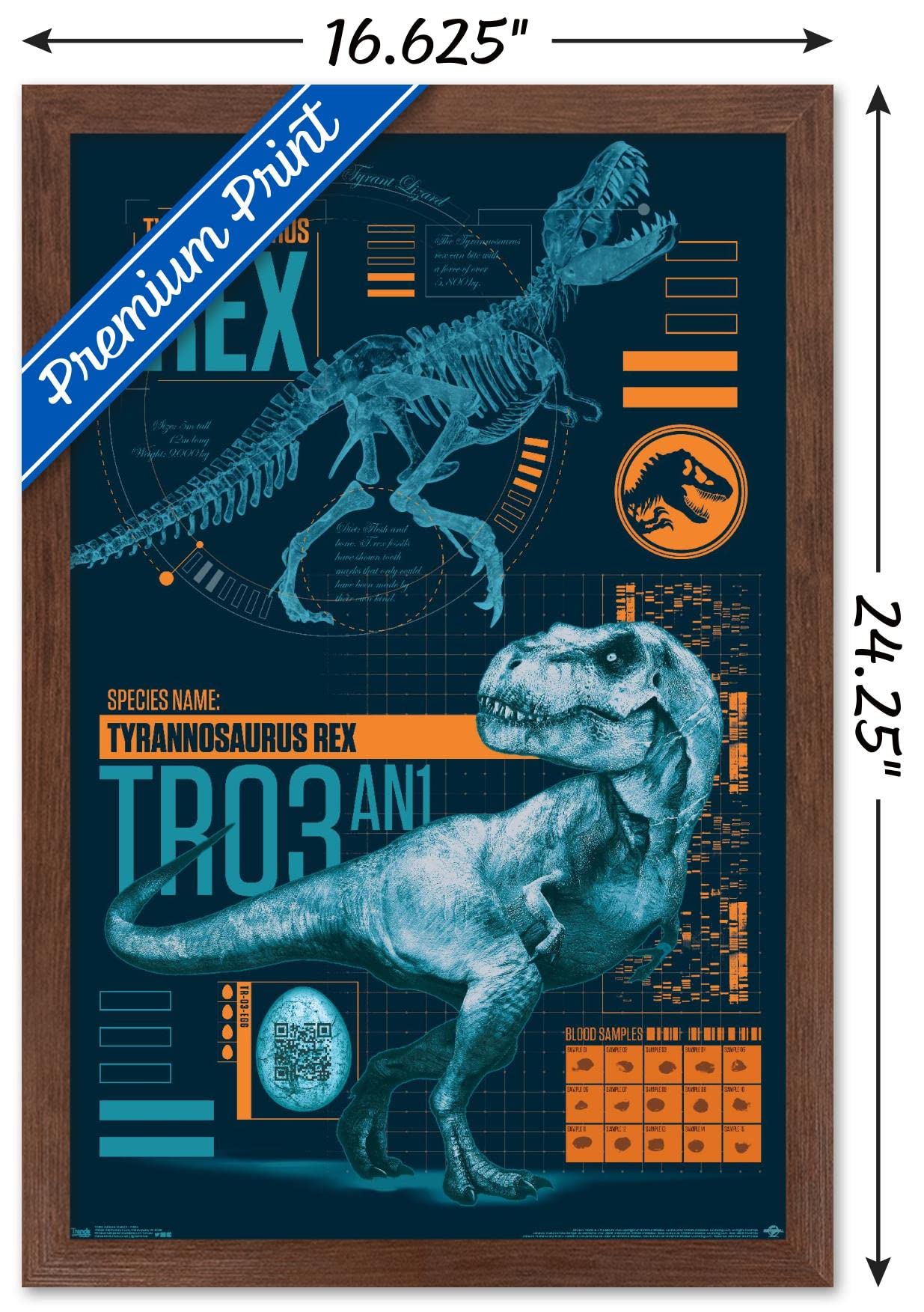 Trends International Jurassic World: Fallen Kingdom - T-Rex Wall Poster, 14.725'' X 22.375'', Mahogany Framed Version
