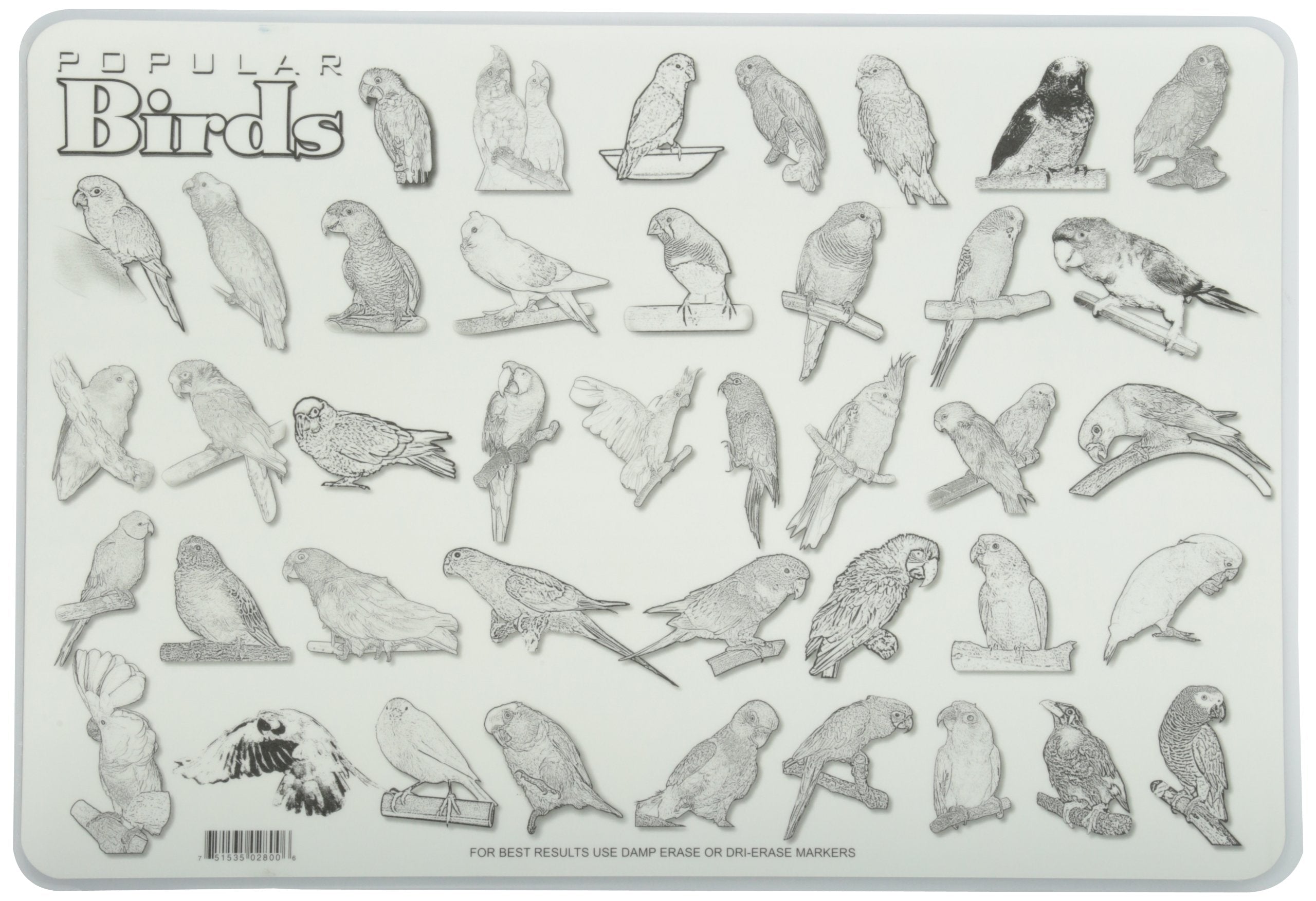 Painless Learning Popular Birds Placemat, Large