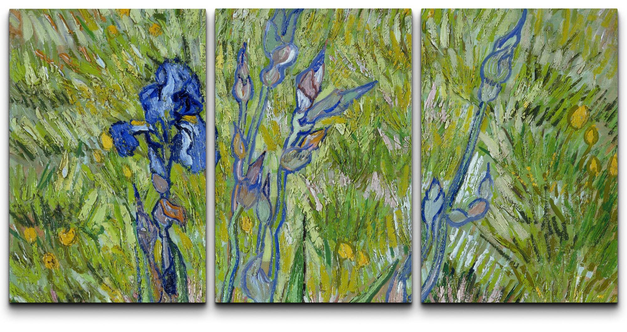 Wall26 Canvas Print Wall Art Set Iris Flowers Vincent Van Gogh Classical Illustrations Fine Art Decorative Historic Vintage Retr