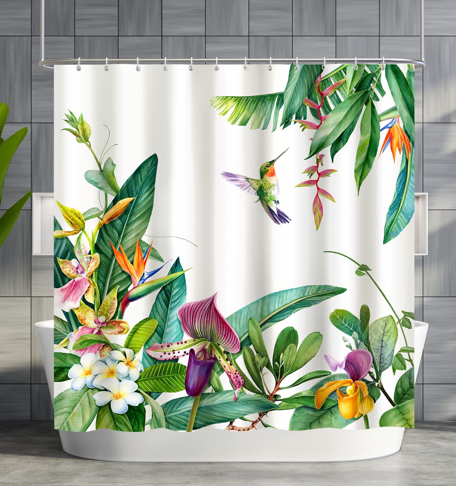 Shower Curtain Green Plants, Hummingbird Shower Curatin Waterproof Polyester Quick-Drying Shower Curtain Set For Bathroom 72X72