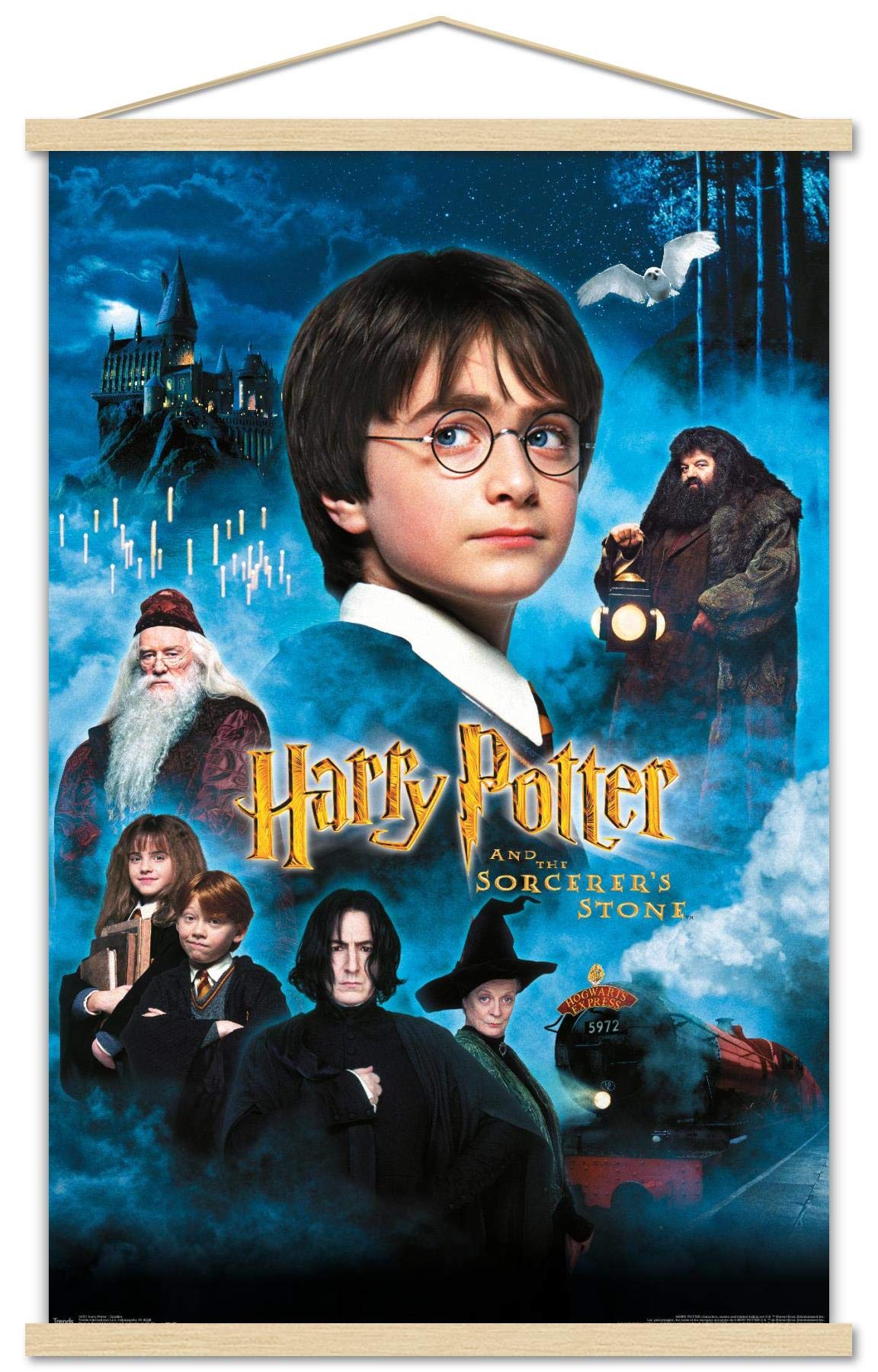 Trends International Harry Potter And The Sorcerer'S Stone - Candles One Sheet Wall Poster, 22.375'' X 34'', Print And Beechwood