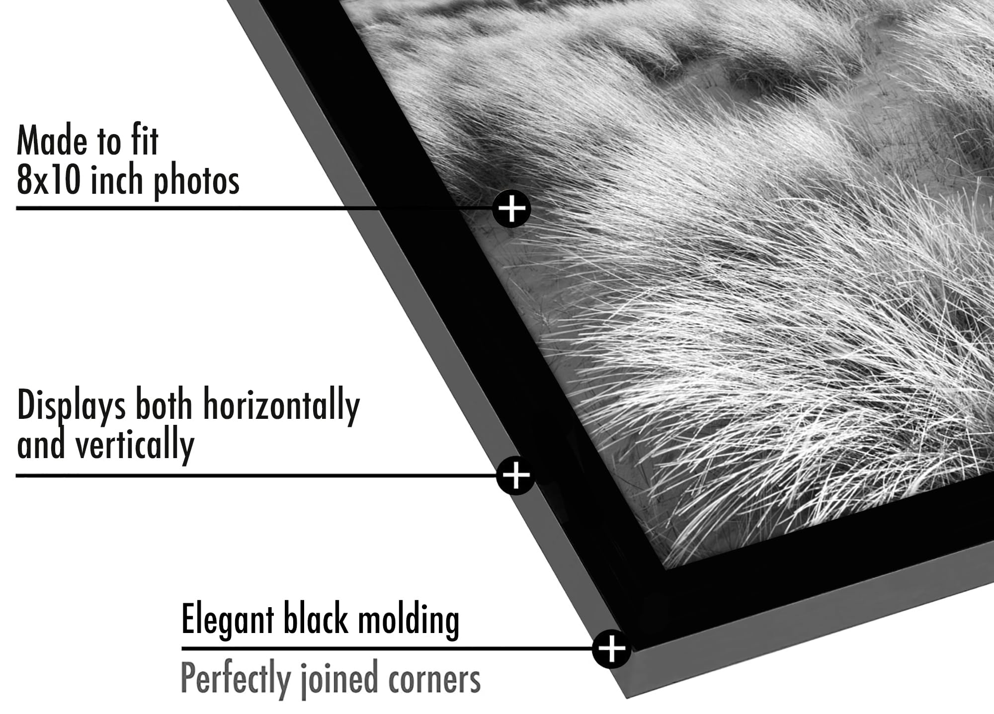 Americanflat 8x10 Picture Frame with Polished Plexiglass - Set of 5 - Galleria Collection - Picture Frames for Tabletop and Wall