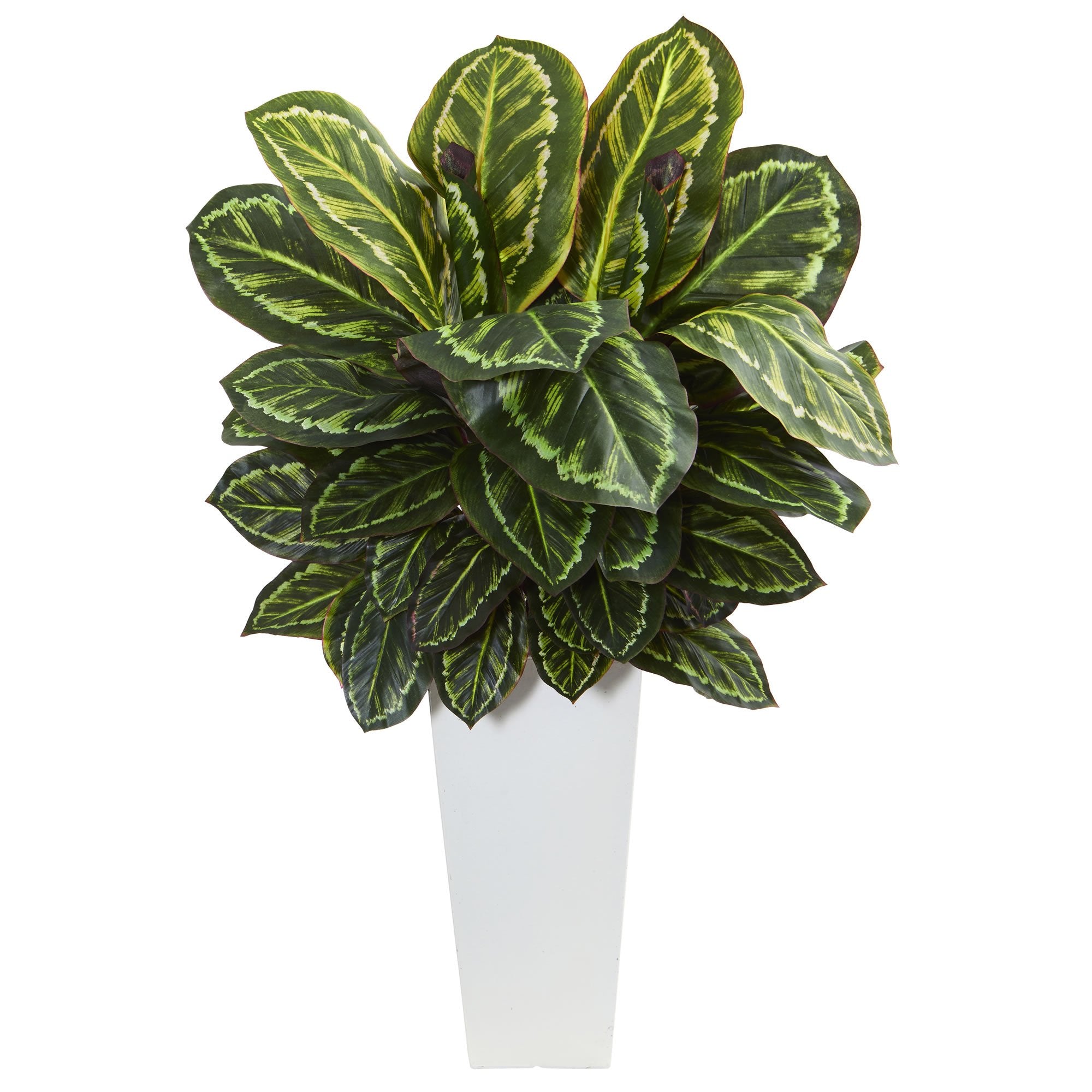 Nearly Natural Maranta Artificial Plant in White Tower Vase, Green