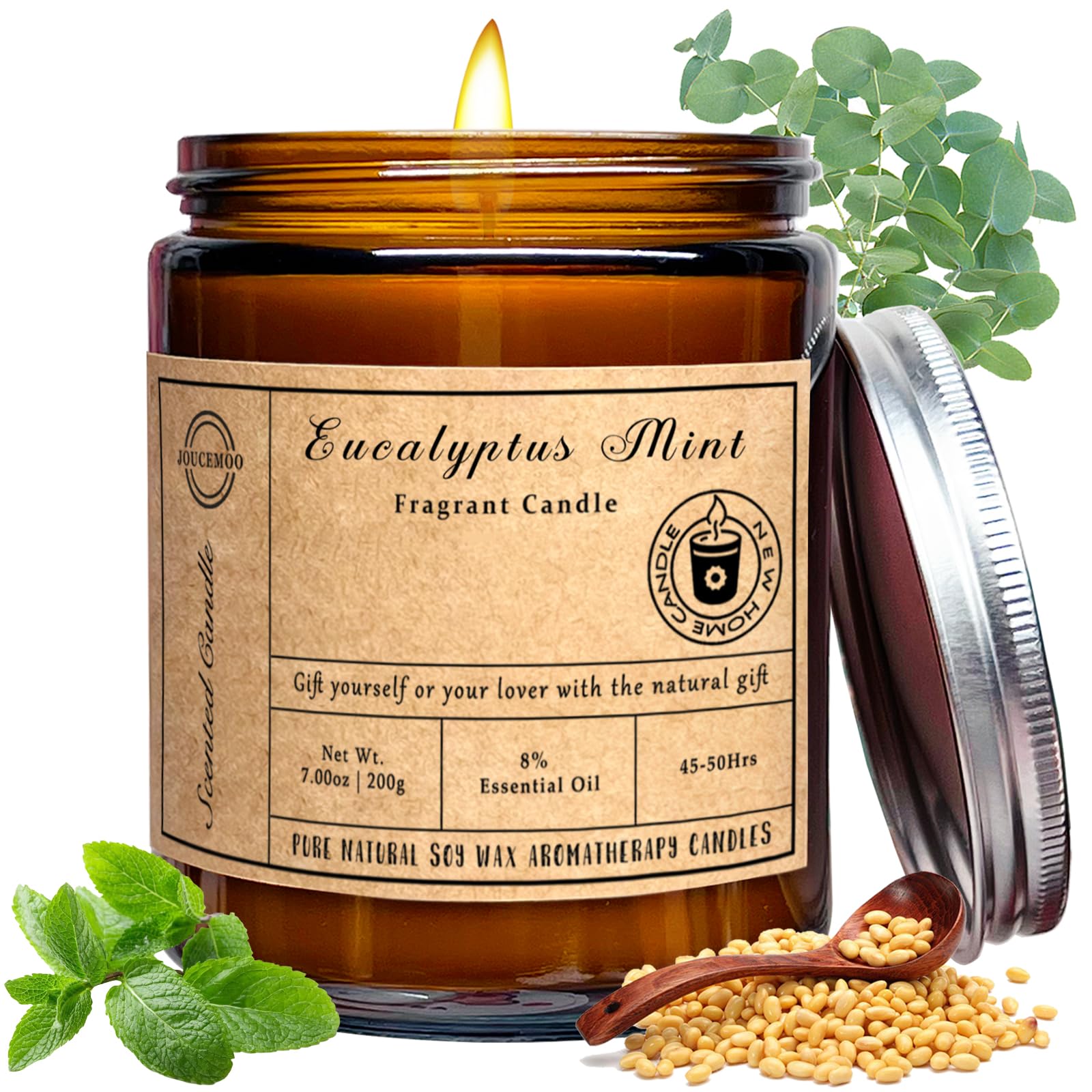 Scented Candles, 7oz Eucalyptus Mint Candles for Home Scented, Soy Wax Aromatherapy Candle for Relaxing and Stress Relief, Non T