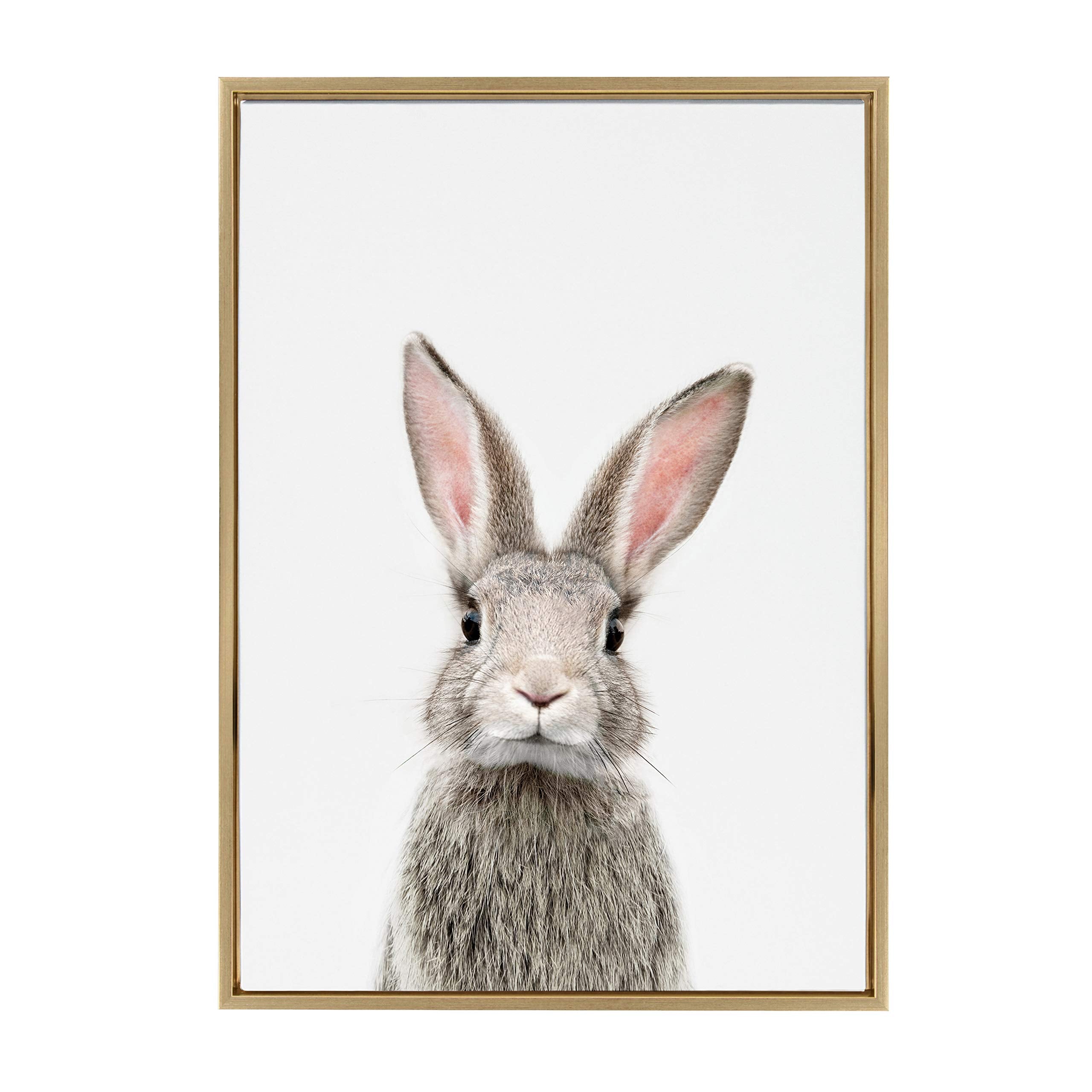 Kate And Laurel Sylvie Female Baby Bunny Rabbit Animal Print Portrait Framed Canvas Wall Art By Amy Peterson, 23X33 Gold