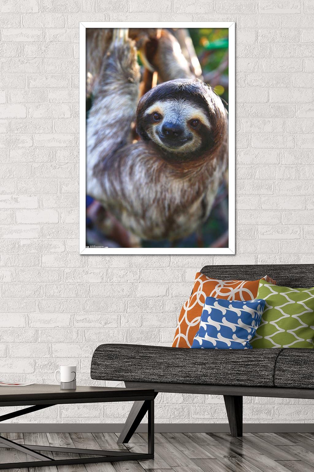 Trends International Sloth - Smile Wall Poster, 22.375'' X 34'', White Framed Version