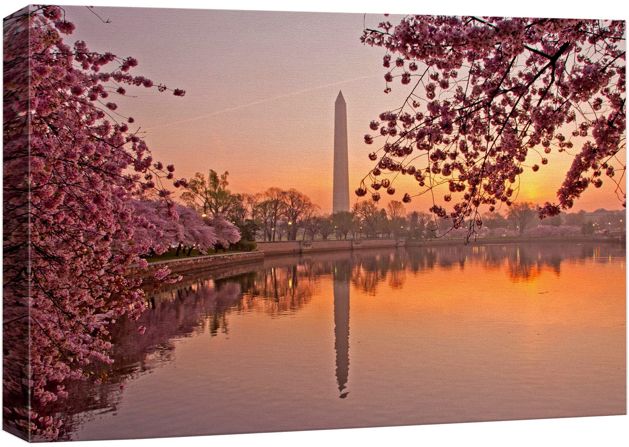 Canvas Prints Wall Art - Cherry Blossom Festival At The National Mall Washington, Dc | Modern Wall Decor/Home Art Stretched Gall