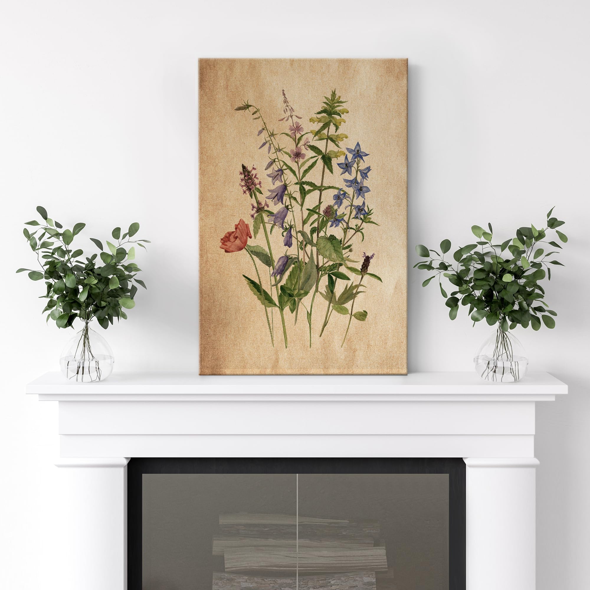 Wall26 Canvas Print Wall Art Retro Antique Wildflower Still Life Nature Wilderness Illustrations Modern Art Botanical Floral Far