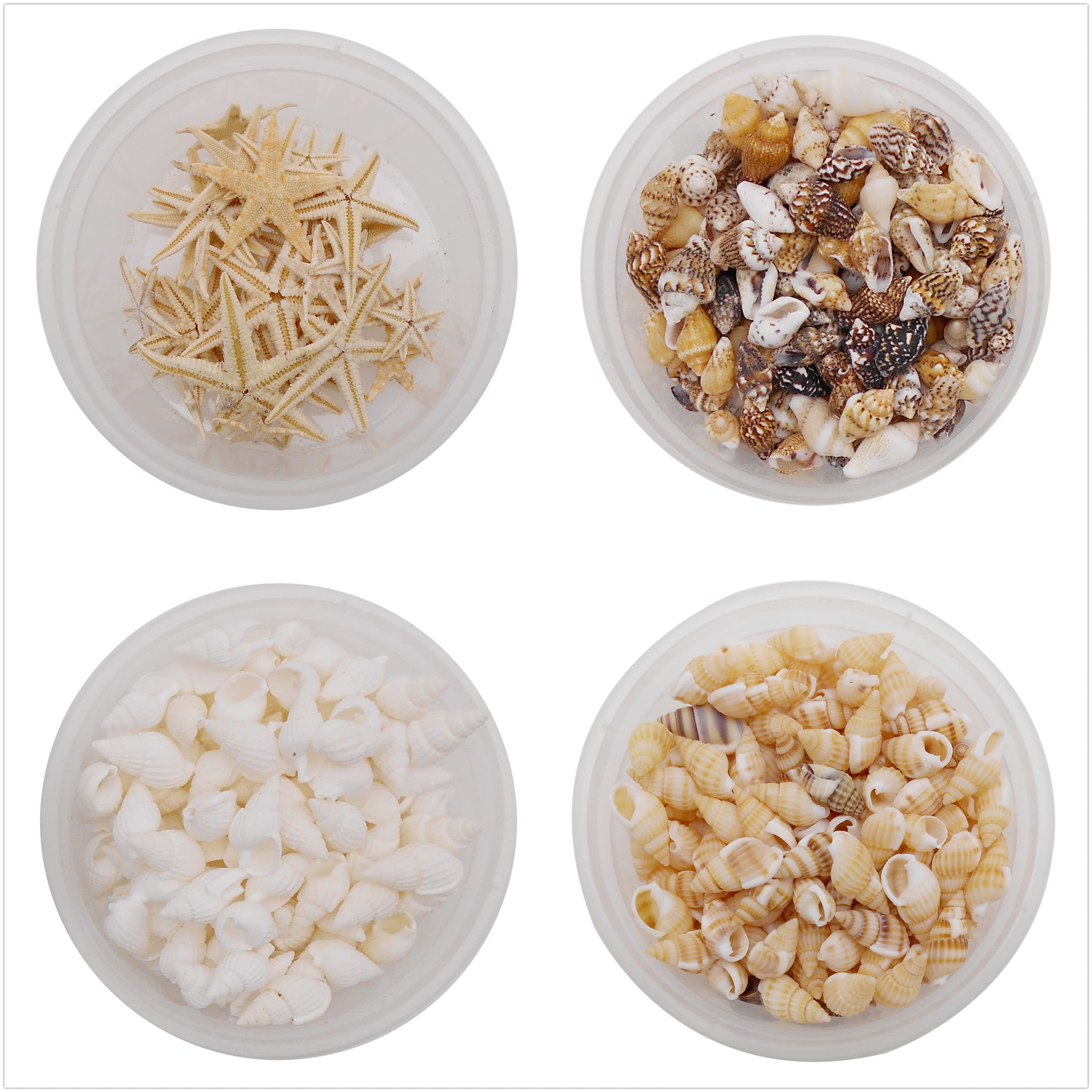 yaokan 510pcs Mixed Tiny Sea Shell Starfish Ocean Beach Spiral Seashells for Resin Craft Candle Making Wishing Bottle Wedding Ho